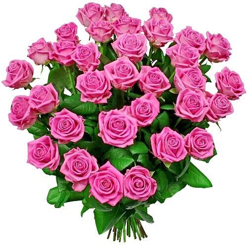 Blume, Pflanze, Rose, Blumen-Arrangement, Blumenstrauß, Blume, Pflanze, Rose, Blumen-Arrangement, Blumenstrauß, Blume, Pflanze, Rose, Blumen-Arrangement, Blumenstrauß, Blume, Pflanze, Rose, Blumen-Arrangement, Blumenstrauß