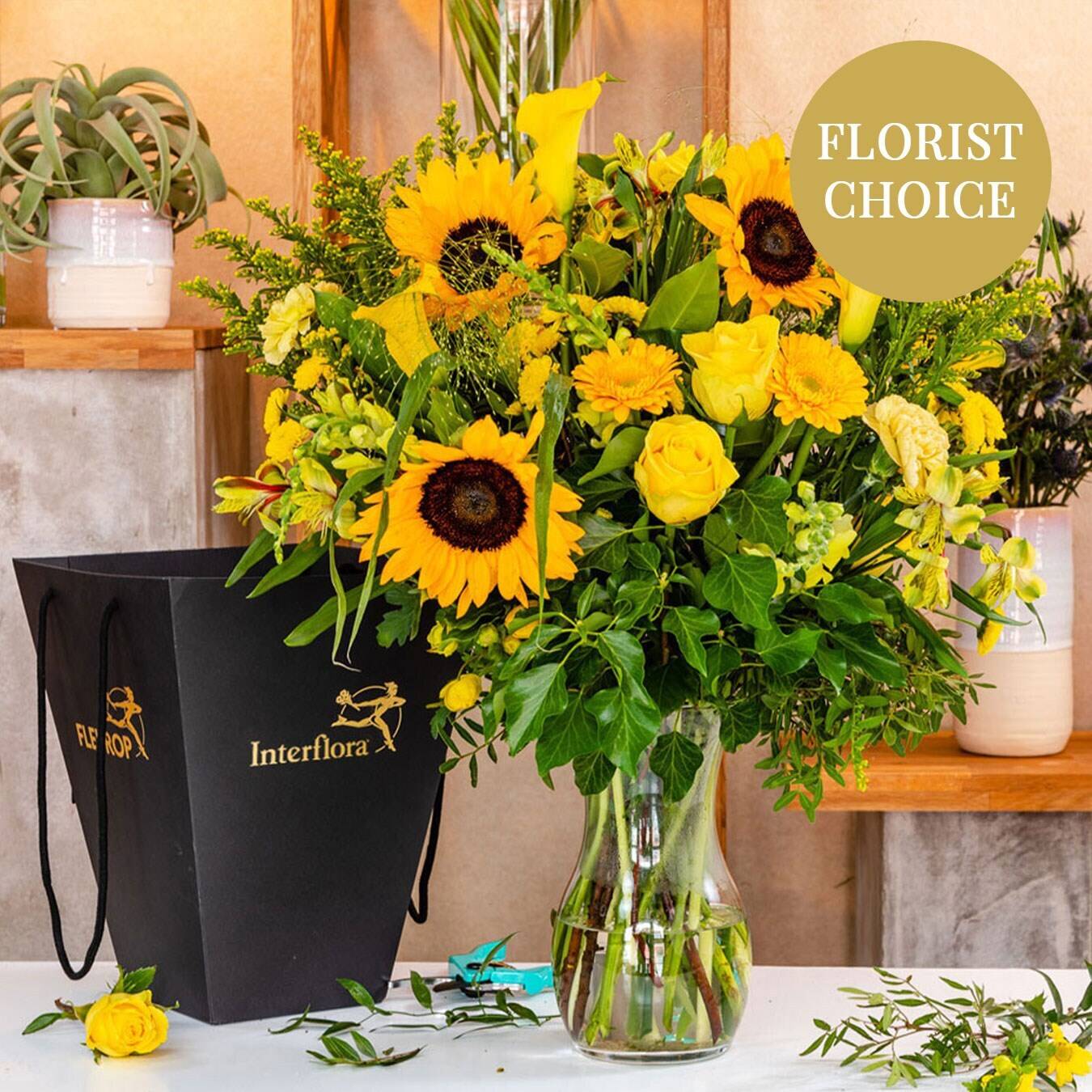Blume, Blumen-Arrangement, Pflanze, Blumenstrauß, Sonnenblume, Blume, Blumen-Arrangement, Pflanze, Blumenstrauß, Sonnenblume, Blume, Blumen-Arrangement, Pflanze, Blumenstrauß, Sonnenblume, Blume, Blumen-Arrangement, Pflanze, Blumenstrauß, Sonnenblume