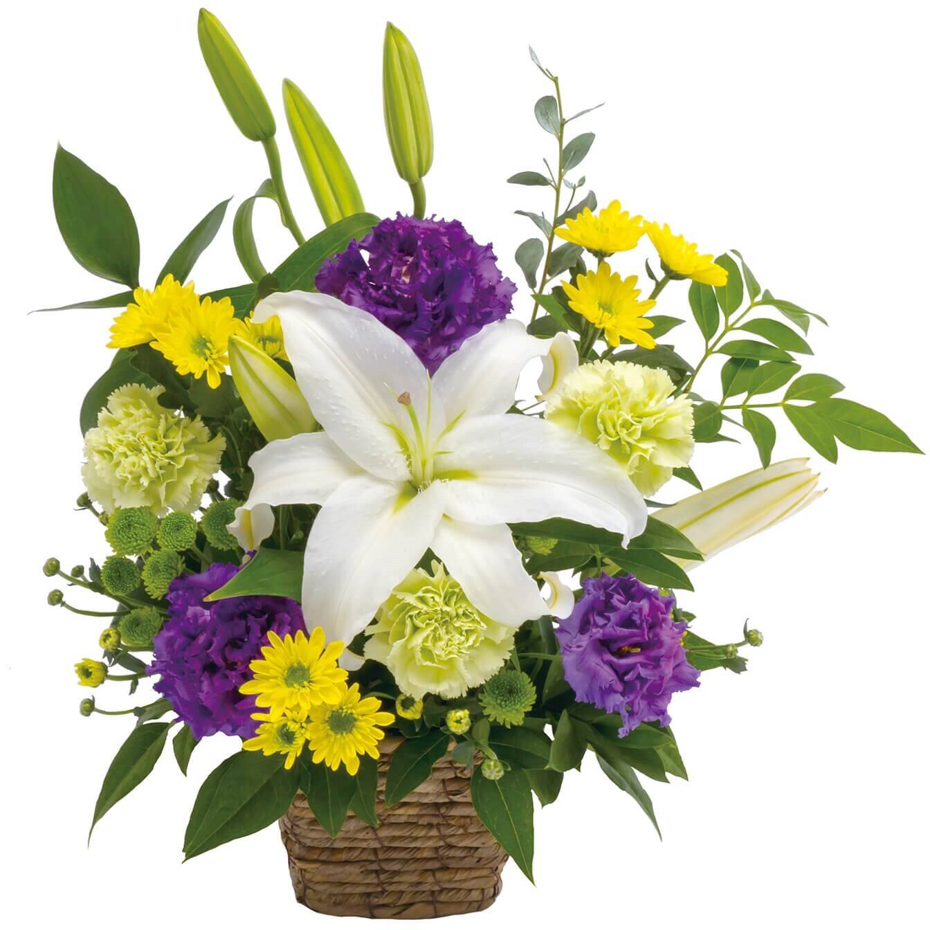 Blume, Blumen-Arrangement, Pflanze, Blumenstrauß, Florales Design, Blume, Blumen-Arrangement, Pflanze, Blumenstrauß, Florales Design, Blume, Blumen-Arrangement, Pflanze, Blumenstrauß, Florales Design, Blumen, Blumenstrauß, Korb, Lilie, bunte Mischung
