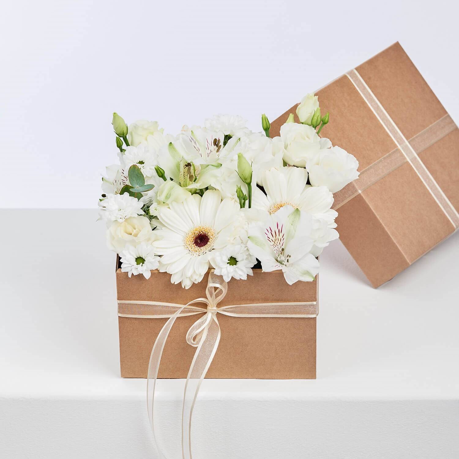 Blume, Blumen-Arrangement, Pflanze, Blumenstrauß, Kiste, Blume, Blumen-Arrangement, Pflanze, Blumenstrauß, Kiste, Blume, Blumen-Arrangement, Pflanze, Blumenstrauß, Kiste, Blume, Blumen-Arrangement, Pflanze, Blumenstrauß, Kiste
