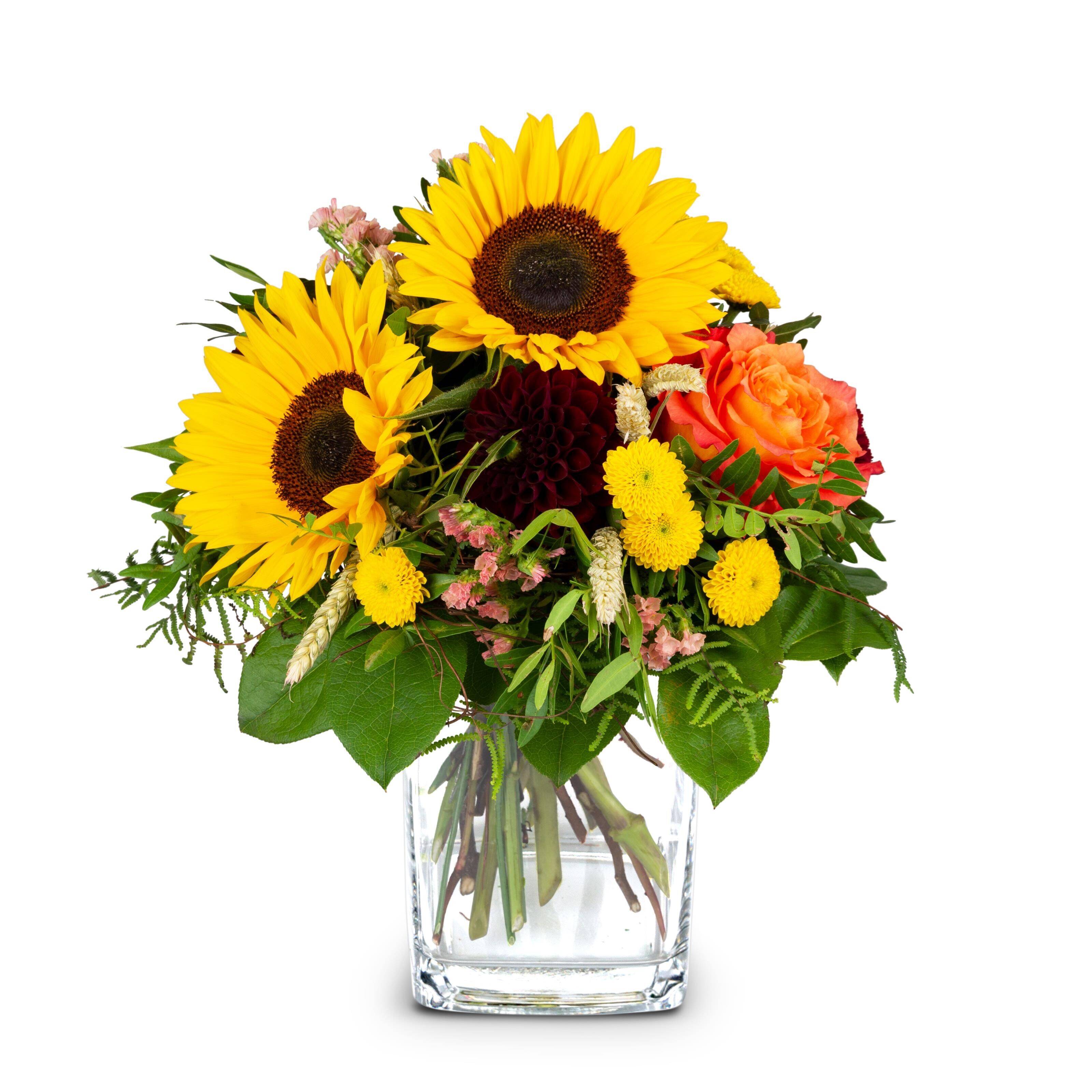 Blume, Blumen-Arrangement, Pflanze, Blumenstrauß, Sonnenblume, Blume, Blumen-Arrangement, Pflanze, Blumenstrauß, Sonnenblume, Blume, Blumen-Arrangement, Pflanze, Blumenstrauß, Sonnenblume, Blume, Blumen-Arrangement, Pflanze, Blumenstrauß, Sonnenblume