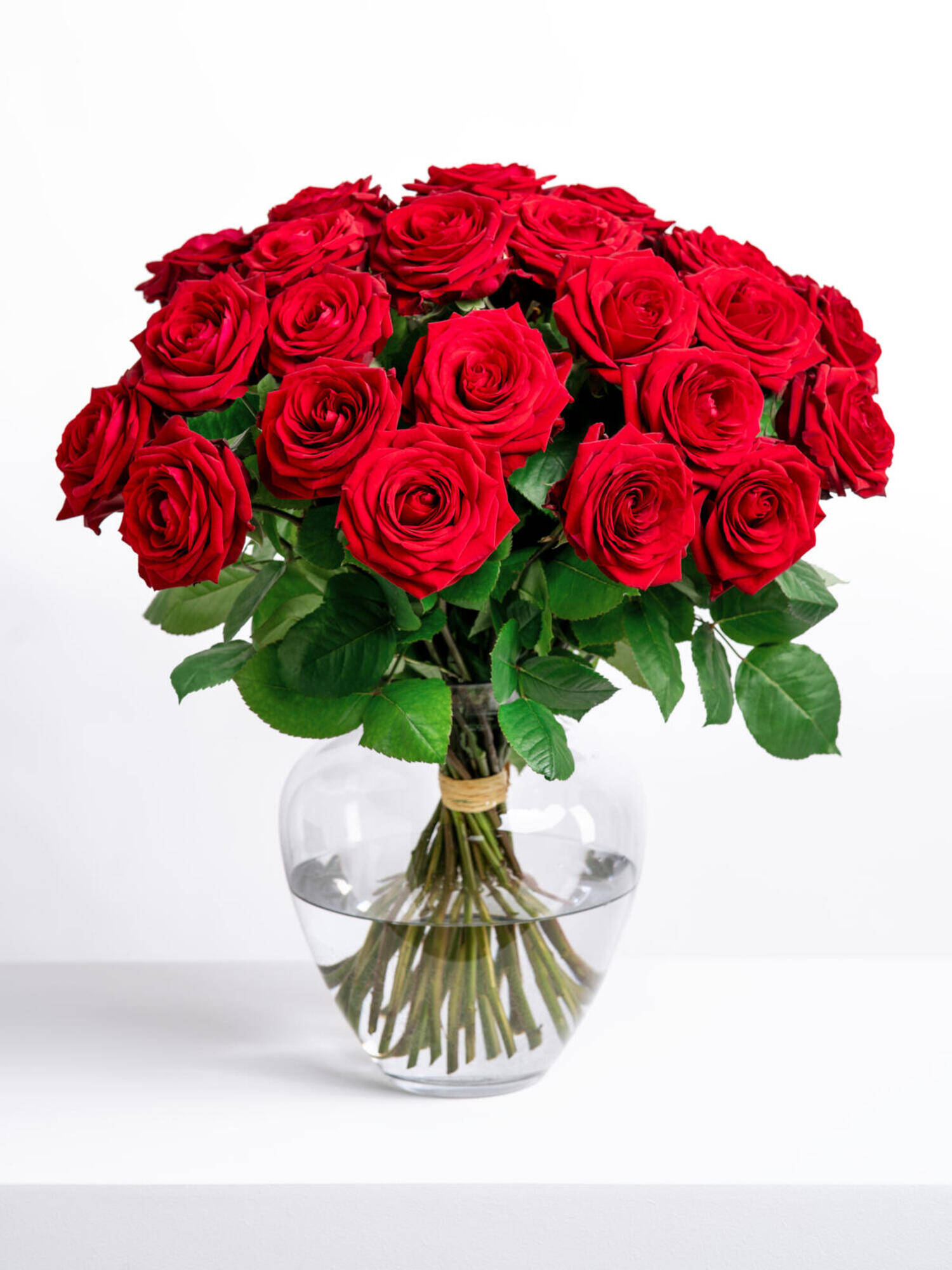 Rosenkavalier - Hauptblüte: Rosen - Hauptfarbe: Rot