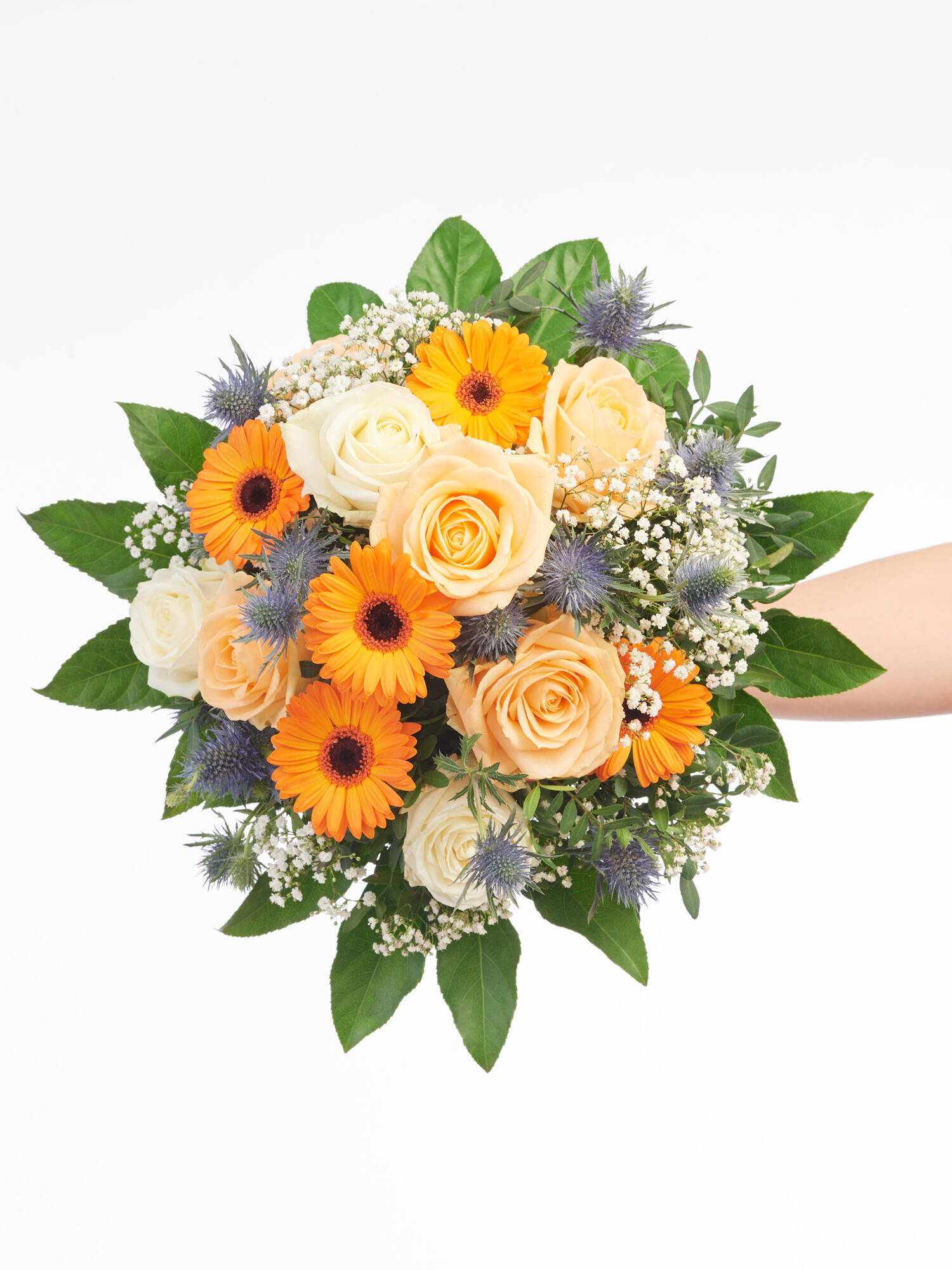 Viel Gesundheit - Hauptblüte: Germini, Rosen - Hauptfarbe: Blau, Orange