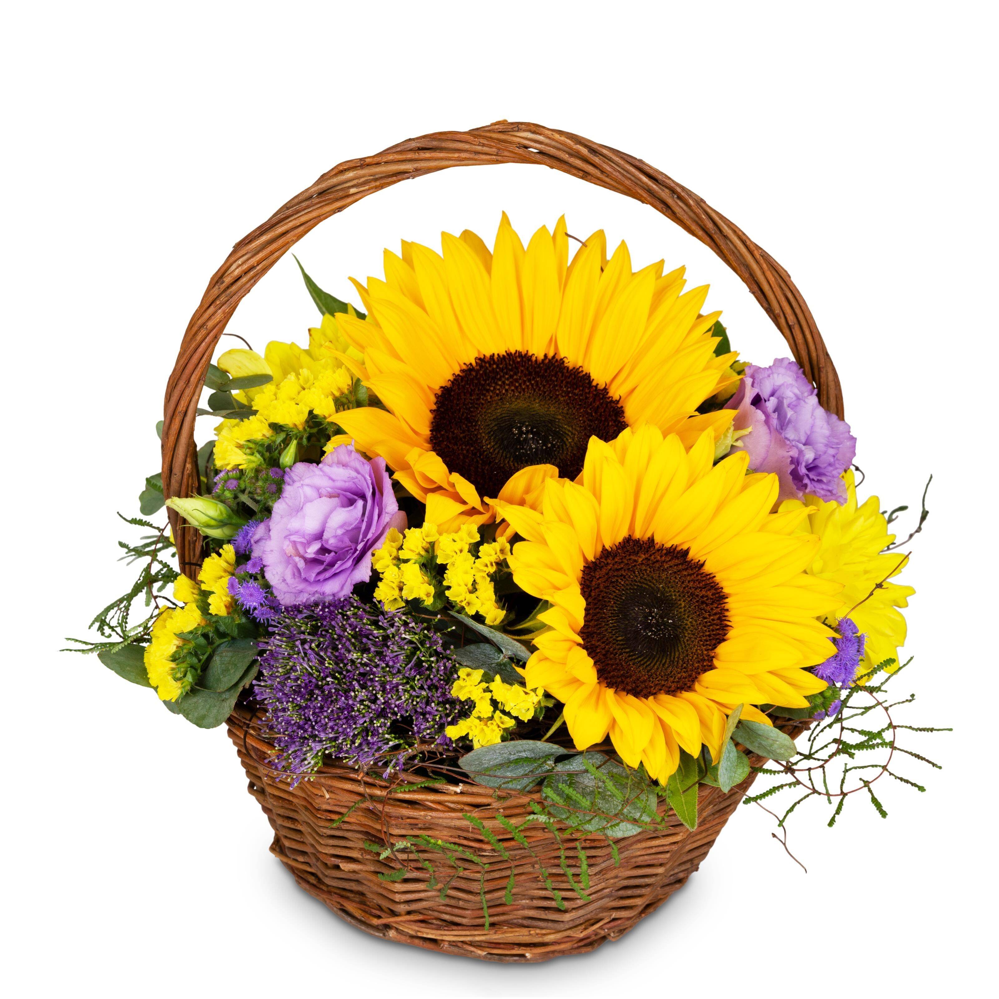 Blume, Blumen-Arrangement, Blumenstrauß, Korb, Sonnenblume, Blume, Blumen-Arrangement, Blumenstrauß, Korb, Sonnenblume, Blume, Blumen-Arrangement, Blumenstrauß, Korb, Sonnenblume, Blume, Blumen-Arrangement, Blumenstrauß, Korb, Sonnenblume