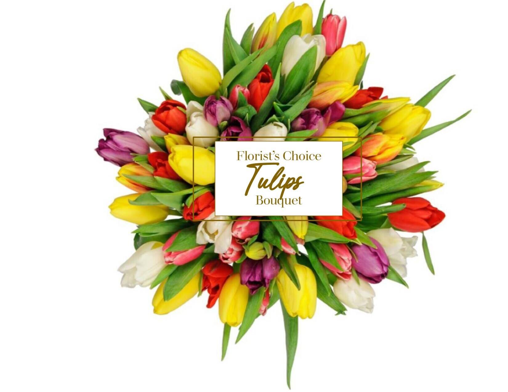 Blume, Blumen-Arrangement, Blumenstrauß, Florales Design, Grafiken, Blume, Blumen-Arrangement, Blumenstrauß, Florales Design, Grafiken, Blume, Blumen-Arrangement, Blumenstrauß, Florales Design, Grafiken, Tulpen, Bouquet, Blumen, bunt, Floristik
