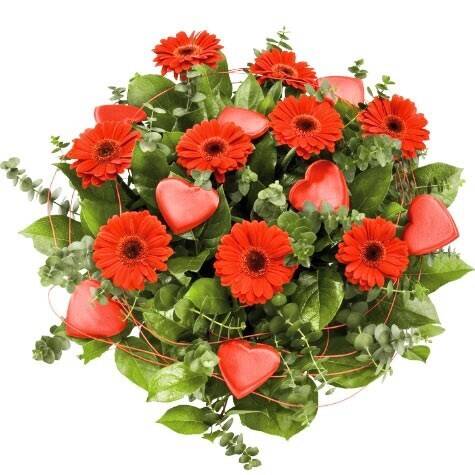 Blume, Blumen-Arrangement, Blumenstrauß, Pflanze, Blatt, Blume, Blumen-Arrangement, Blumenstrauß, Pflanze, Blatt, Blume, Blumen-Arrangement, Blumenstrauß, Pflanze, Blatt, Blume, Blumen-Arrangement, Blumenstrauß, Pflanze, Blatt