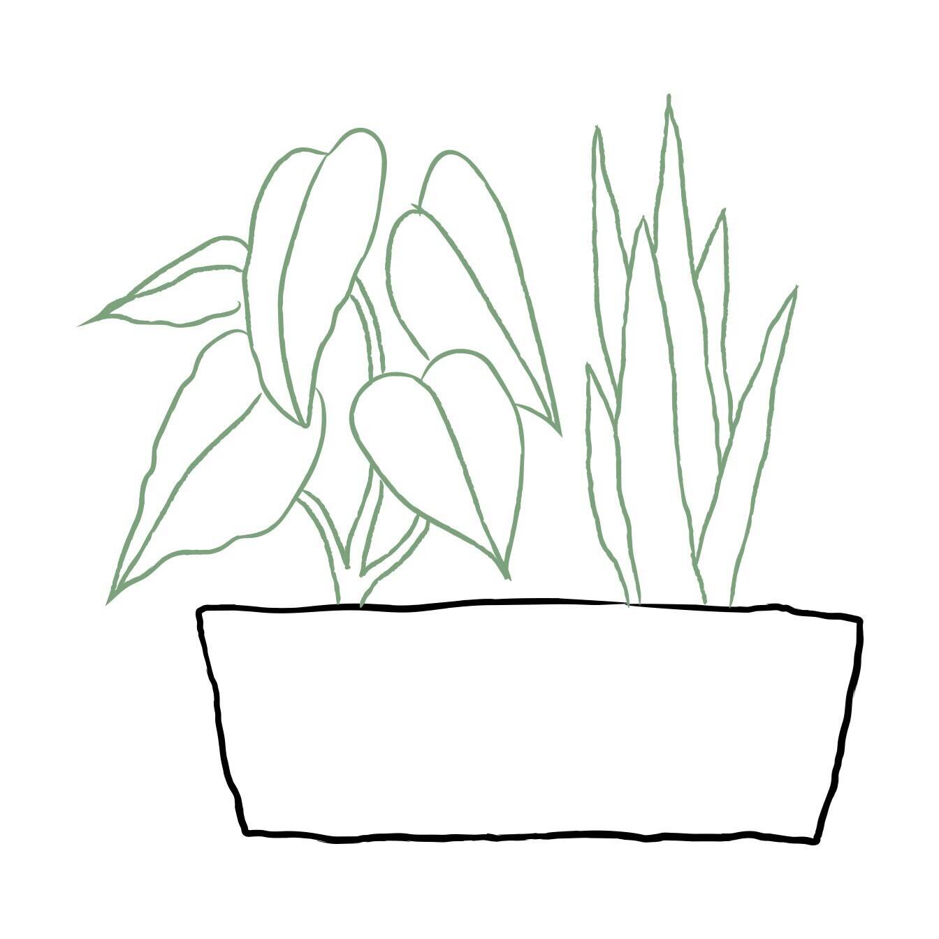 Topfpflanze, Pflanzgefäß, Blatt, Kunst, Blume, Topfpflanze, Pflanzgefäß, Blatt, Kunst, Blume, Topfpflanze, Pflanzgefäß, Blatt, Kunst, Blume, Topfpflanze, Pflanzgefäß, Blatt, Kunst, Blume, Topfpflanze, Pflanzgefäß, Blatt, Kunst, Blume