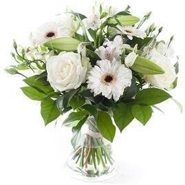 Blume, Blumen-Arrangement, Blumenstrauß, Pflanze, Blume, Blumen-Arrangement, Blumenstrauß, Pflanze, Blume, Blumen-Arrangement, Blumenstrauß, Pflanze, Blume, Blumen-Arrangement, Blumenstrauß, Pflanze, Blume, Blumen-Arrangement, Blumenstrauß, Pflanze