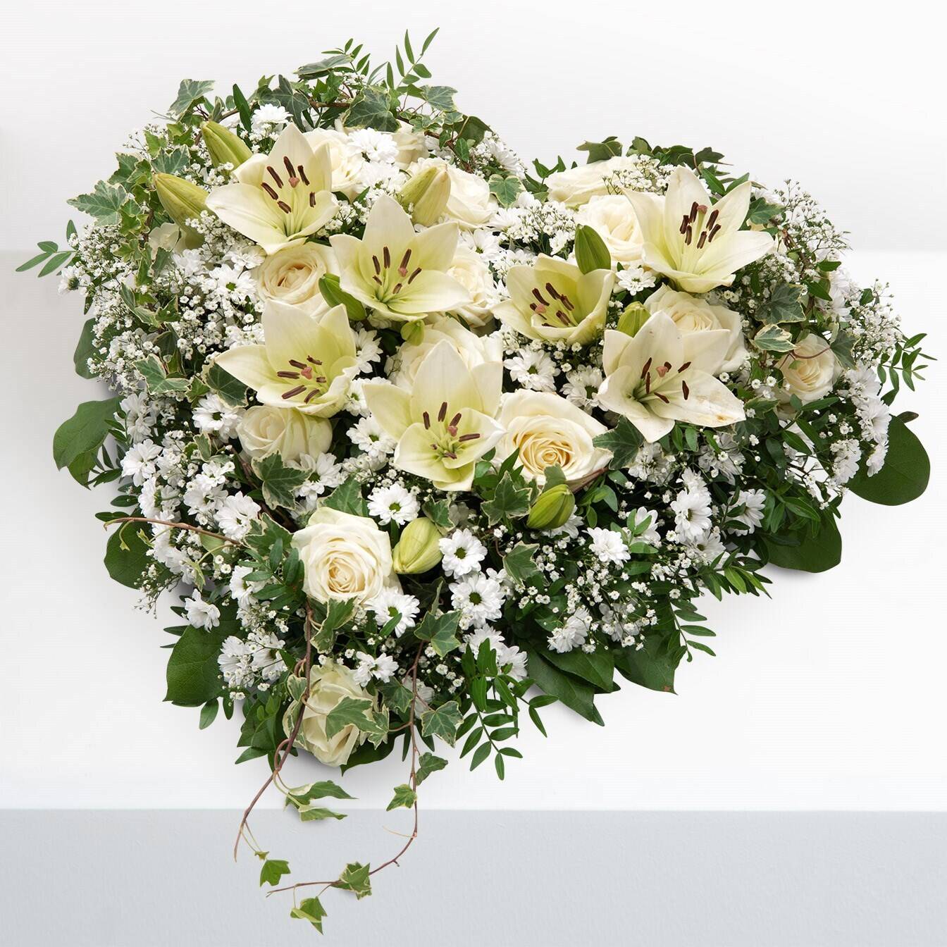 Blume, Blumen-Arrangement, Pflanze, Blumenstrauß, Rose, Blume, Blumen-Arrangement, Pflanze, Blumenstrauß, Rose, Blume, Blumen-Arrangement, Pflanze, Blumenstrauß, Rose, Blume, Blumen-Arrangement, Pflanze, Blumenstrauß, Rose