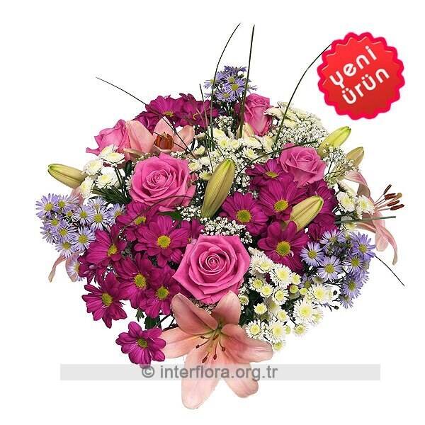 Blume, Blumen-Arrangement, Blumenstrauß, Grafiken, Muster, Blume, Blumen-Arrangement, Blumenstrauß, Grafiken, Muster, Blume, Blumen-Arrangement, Blumenstrauß, Grafiken, Muster, Blume, Blumen-Arrangement, Blumenstrauß, Grafiken, Muster