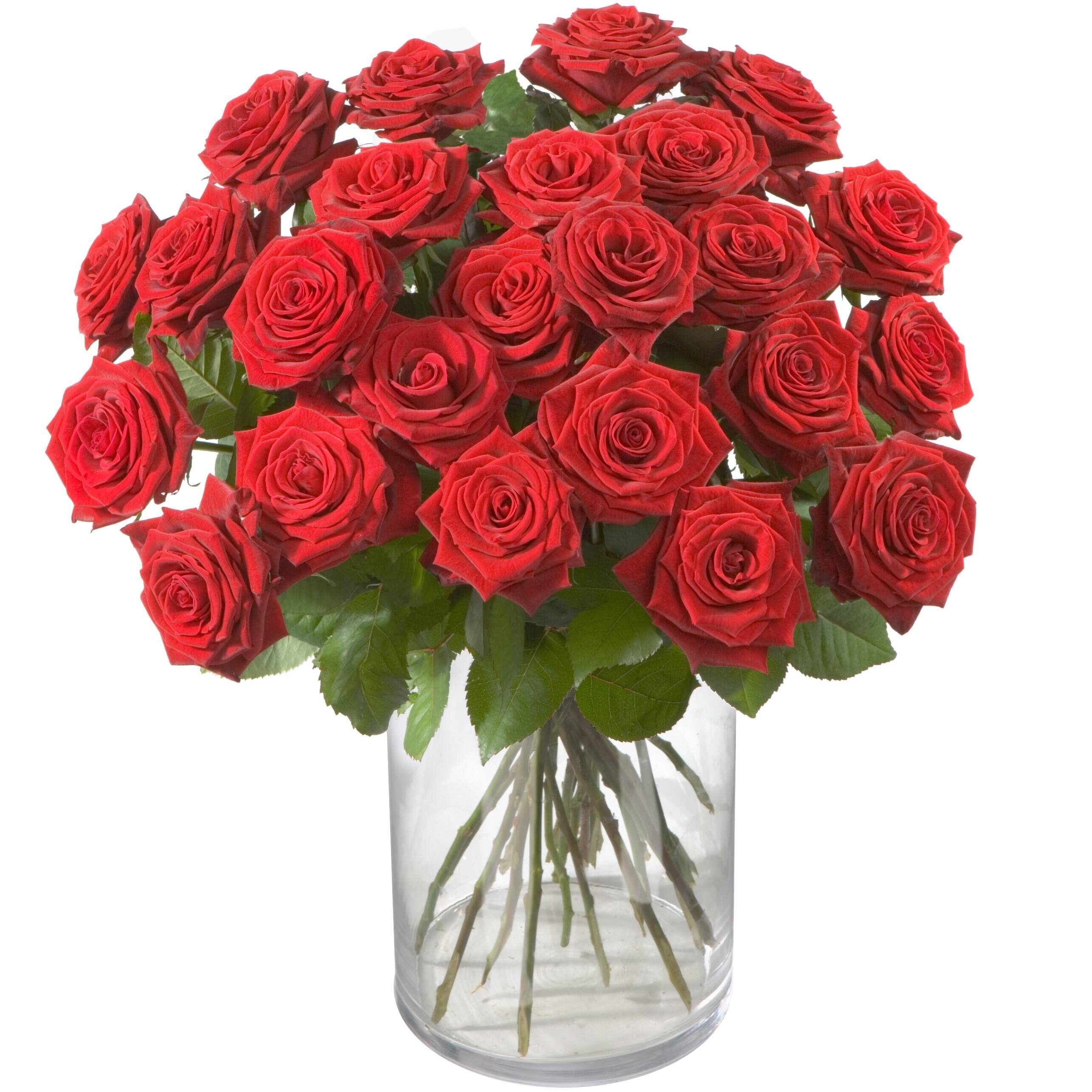 rote Rosen, Rosenstrauß, Blumenarrangement, Glasvasen, grüne Stiele, rosen, rote rosen, blumenstrauß, glasvase, stiele aus wasser, rose, Blumenstrauß, Rote Rosen, Glasvase, Blumenarrangement