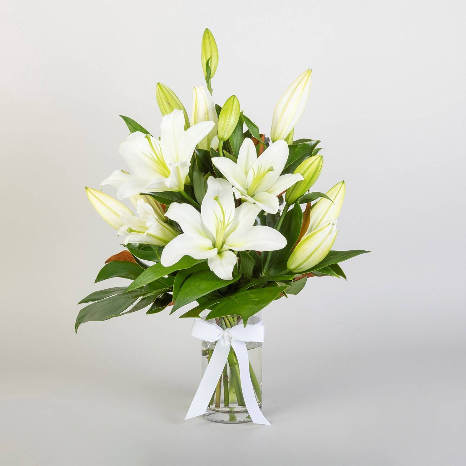 Blume, Blumen-Arrangement, Pflanze, Blumenstrauß, Blume, Blumen-Arrangement, Pflanze, Blumenstrauß, Blume, Blumen-Arrangement, Pflanze, Blumenstrauß, Blume, Blumen-Arrangement, Pflanze, Blumenstrauß, Blume, Blumen-Arrangement, Pflanze, Blumenstrauß