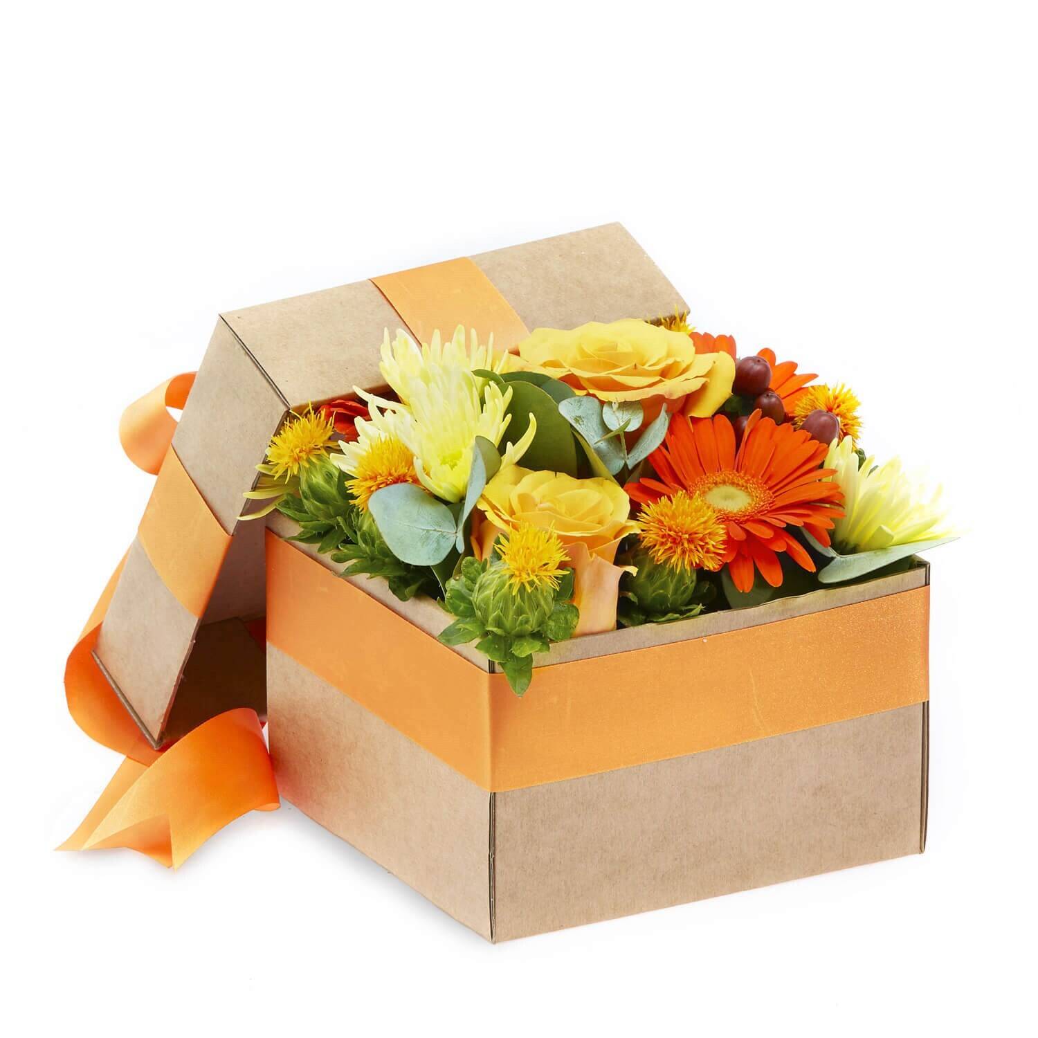 Blume, Blumen-Arrangement, Blumenstrauß, Kiste, Topfpflanze, Blume, Blumen-Arrangement, Blumenstrauß, Kiste, Topfpflanze, Blume, Blumen-Arrangement, Blumenstrauß, Kiste, Topfpflanze, Blume, Blumen-Arrangement, Blumenstrauß, Kiste, Topfpflanze