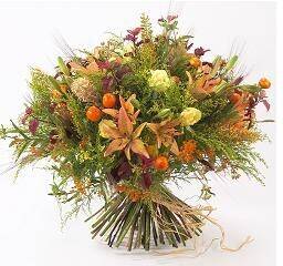 Blume, Blumen-Arrangement, Blumenstrauß, Pflanze, Blume, Blumen-Arrangement, Blumenstrauß, Pflanze, Blume, Blumen-Arrangement, Blumenstrauß, Pflanze, Blume, Blumen-Arrangement, Blumenstrauß, Pflanze, Blume, Blumen-Arrangement, Blumenstrauß, Pflanze