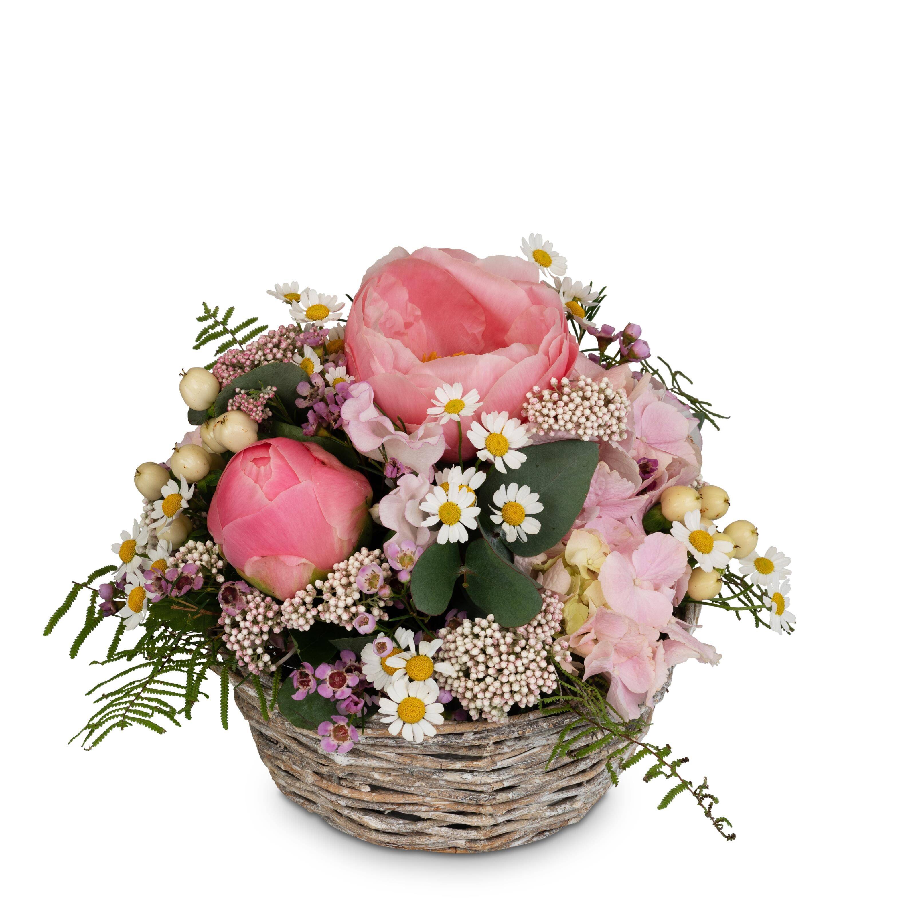 Blume, Blumen-Arrangement, Pflanze, Blumenstrauß, Rose, Blume, Blumen-Arrangement, Pflanze, Blumenstrauß, Rose, Blume, Blumen-Arrangement, Pflanze, Blumenstrauß, Rose, Blume, Blumen-Arrangement, Pflanze, Blumenstrauß, Rose