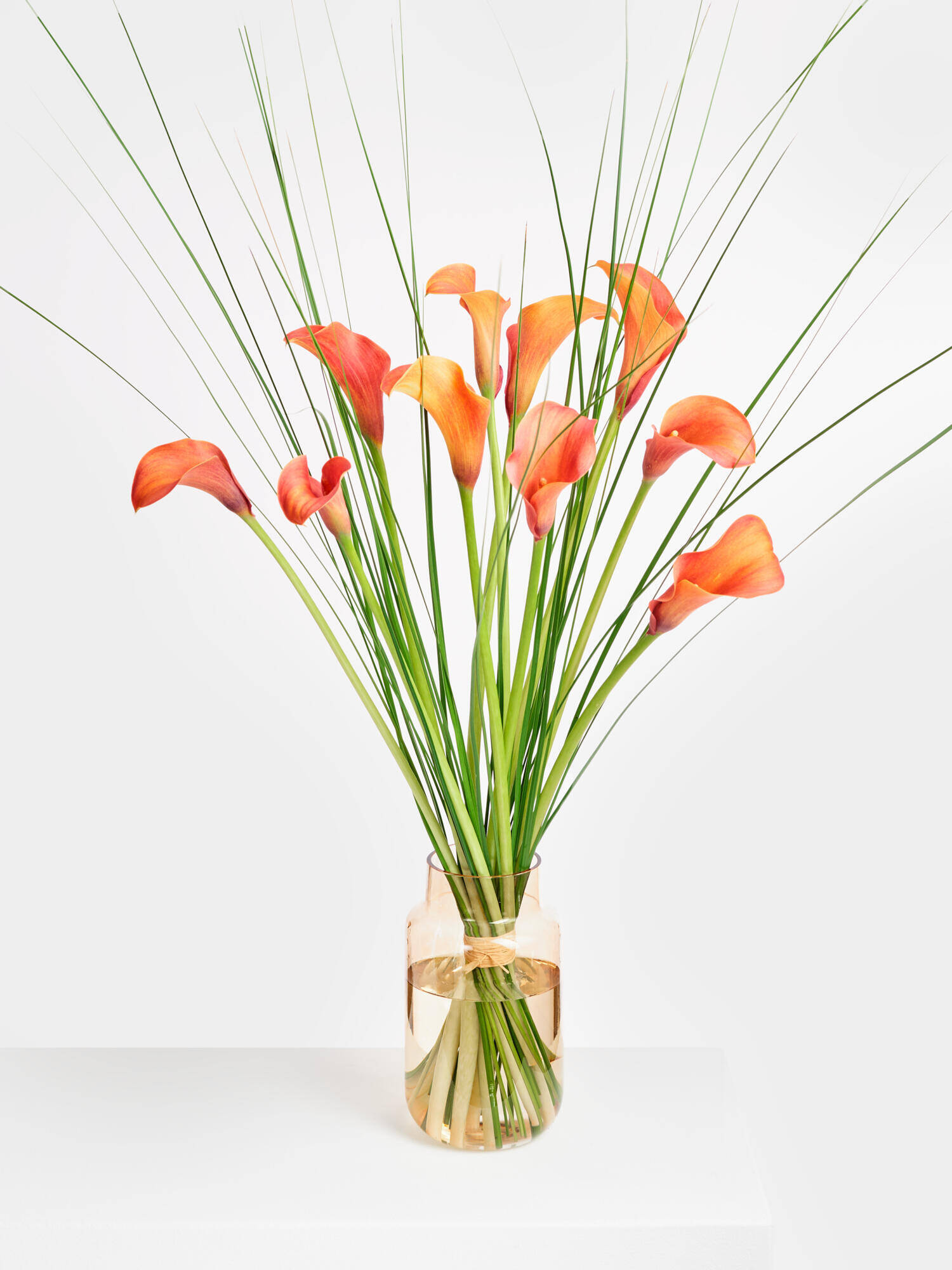 Morning Rouge - Main Colors: ORANGE