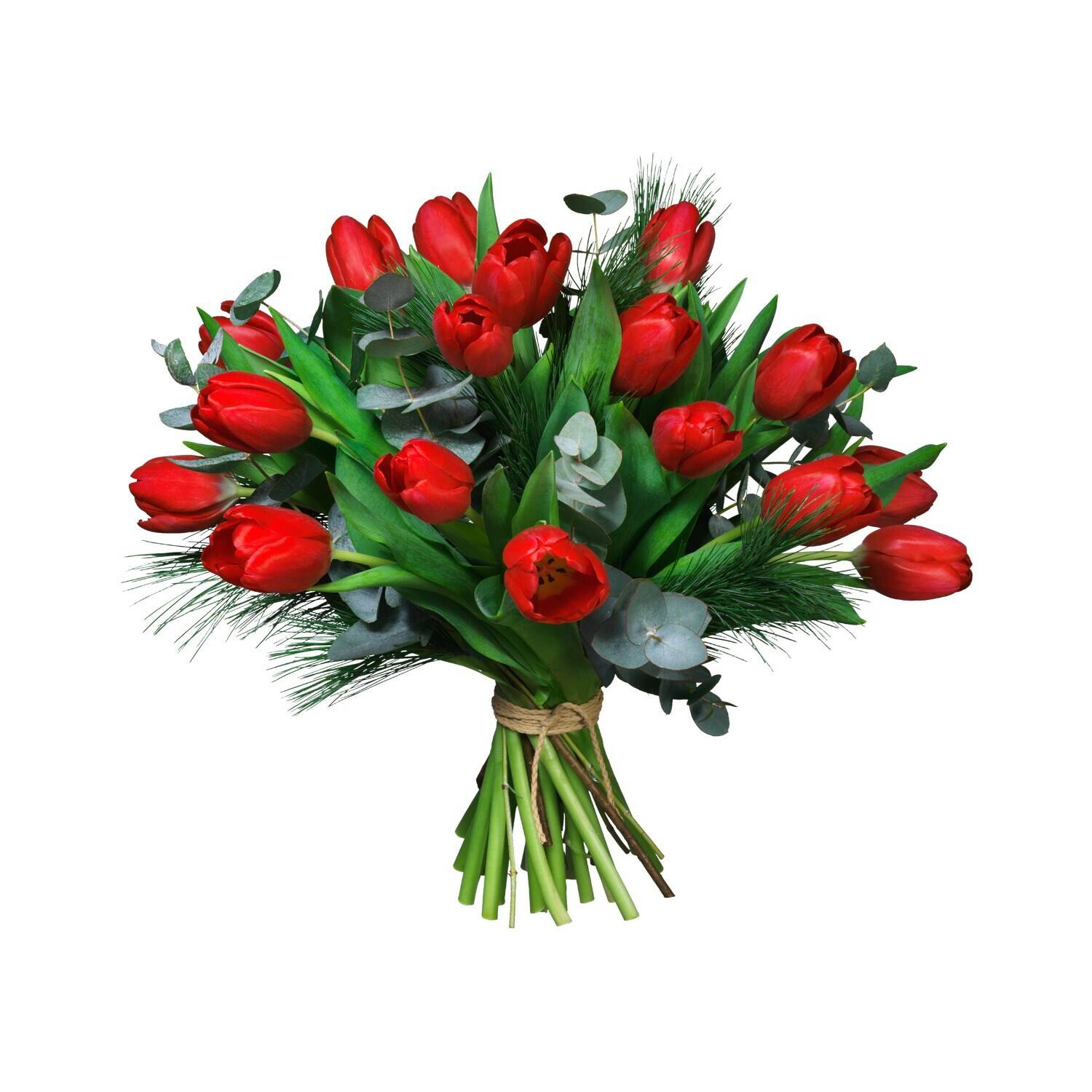 Blume, Blumen-Arrangement, Blumenstrauß, Pflanze, Rose, Blume, Blumen-Arrangement, Blumenstrauß, Pflanze, Rose, Blume, Blumen-Arrangement, Blumenstrauß, Pflanze, Rose, Blume, Blumen-Arrangement, Blumenstrauß, Pflanze, Rose