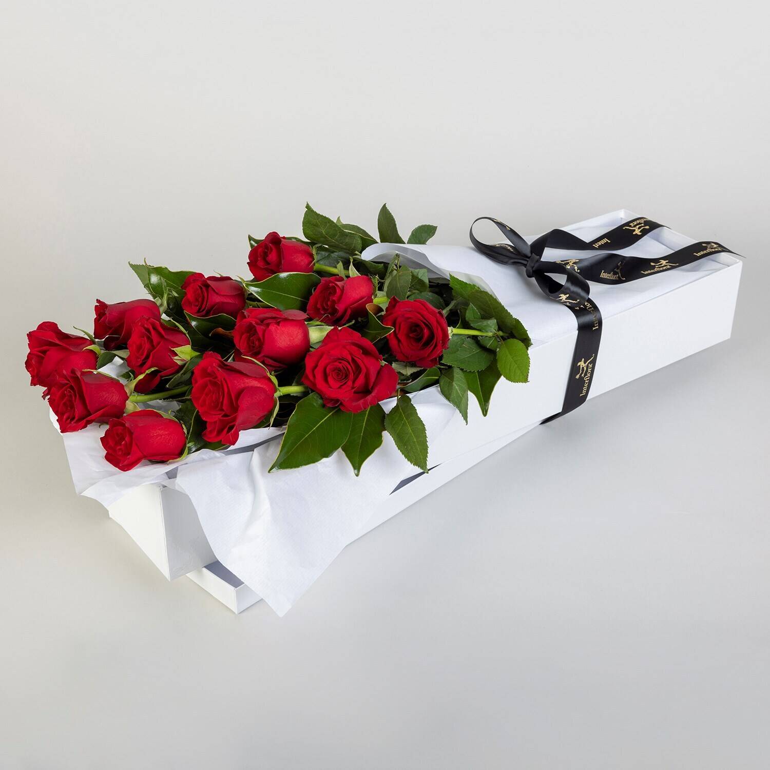 Blume, Pflanze, Rose, Blumen-Arrangement, Blumenstrauß, Blume, Pflanze, Rose, Blumen-Arrangement, Blumenstrauß, Blume, Pflanze, Rose, Blumen-Arrangement, Blumenstrauß, Blume, Pflanze, Rose, Blumen-Arrangement, Blumenstrauß