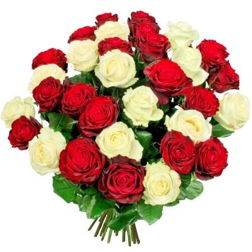 Blume, Pflanze, Rose, Blumen-Arrangement, Blumenstrauß, Blume, Pflanze, Rose, Blumen-Arrangement, Blumenstrauß, Blume, Pflanze, Rose, Blumen-Arrangement, Blumenstrauß, Blume, Pflanze, Rose, Blumen-Arrangement, Blumenstrauß