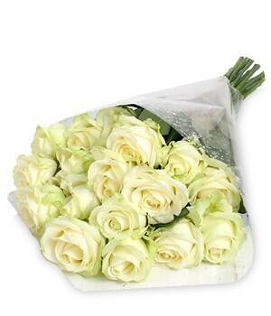 Blume, Blumen-Arrangement, Blumenstrauß, Pflanze, Rose, Blume, Blumen-Arrangement, Blumenstrauß, Pflanze, Rose, Blume, Blumen-Arrangement, Blumenstrauß, Pflanze, Rose, Blume, Blumen-Arrangement, Blumenstrauß, Pflanze, Rose