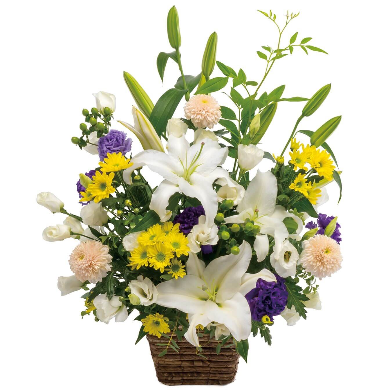 Blume, Blumen-Arrangement, Pflanze, Blumenstrauß, Blume, Blumen-Arrangement, Pflanze, Blumenstrauß, Blume, Blumen-Arrangement, Pflanze, Blumenstrauß, Blume, Blumen-Arrangement, Pflanze, Blumenstrauß, Blume, Blumen-Arrangement, Pflanze, Blumenstrauß