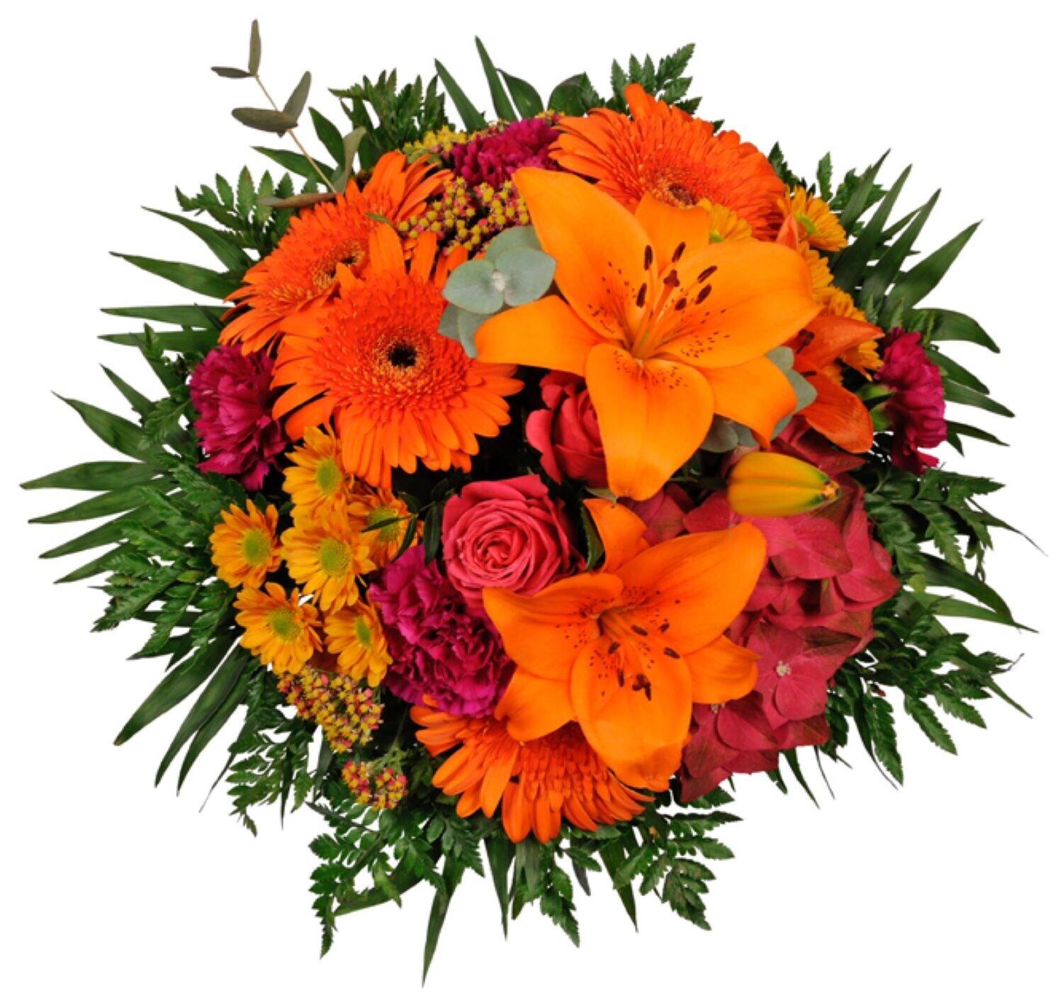 Blume, Blumen-Arrangement, Blumenstrauß, Pflanze, Blume, Blumen-Arrangement, Blumenstrauß, Pflanze, Blume, Blumen-Arrangement, Blumenstrauß, Pflanze, Blume, Blumen-Arrangement, Blumenstrauß, Pflanze, Blume, Blumen-Arrangement, Blumenstrauß, Pflanze