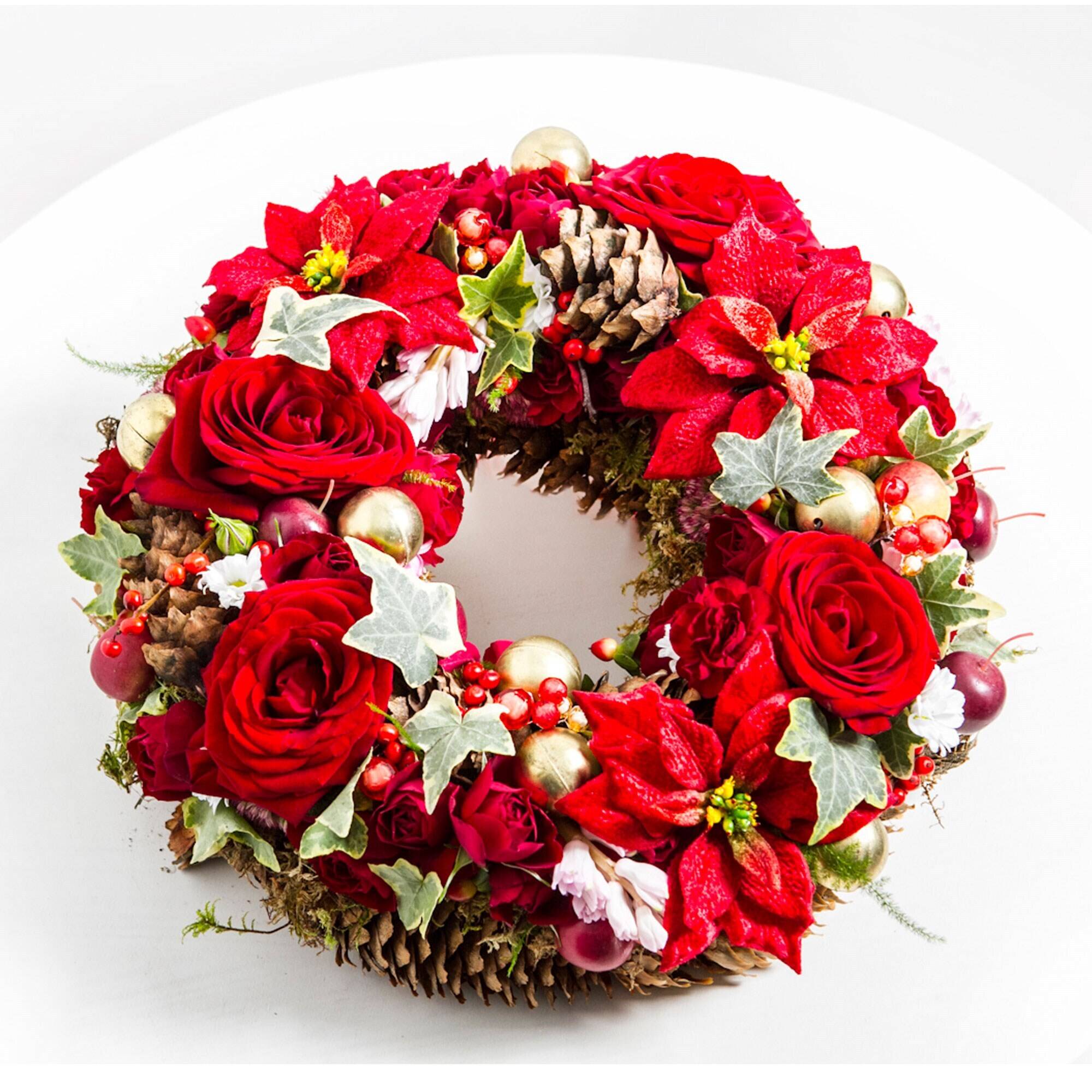 Blume, Pflanze, Rose, Blume, Pflanze, Rose, Blume, Pflanze, Rose, Blume, Pflanze, Rose, Blume, Pflanze, Rose, Blume, Pflanze, Rose, Blume, Pflanze, Rose, Blume, Pflanze, Rose, Blume, Pflanze, Rose, Blume, Pflanze, Rose, Blume, Pflanze, Rose