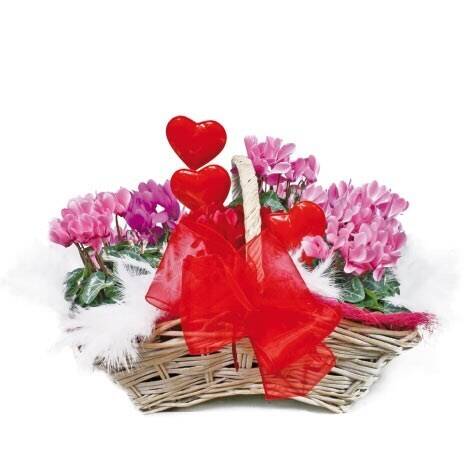 Blume, Blütenblatt, Blumen-Arrangement, Blumenstrauß, Korb, Blume, Blütenblatt, Blumen-Arrangement, Blumenstrauß, Korb, Blume, Blütenblatt, Blumen-Arrangement, Blumenstrauß, Korb, Blume, Blütenblatt, Blumen-Arrangement, Blumenstrauß, Korb