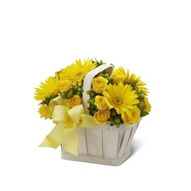 Blume, Blumen-Arrangement, Blumenstrauß, Pflanze, Pflanze im Topf, Blume, Blumen-Arrangement, Blumenstrauß, Pflanze, Pflanze im Topf, Blume, Blumen-Arrangement, Blumenstrauß, Pflanze, Pflanze im Topf, blume, blumenstrauß, gelb, sonnenblume, korb