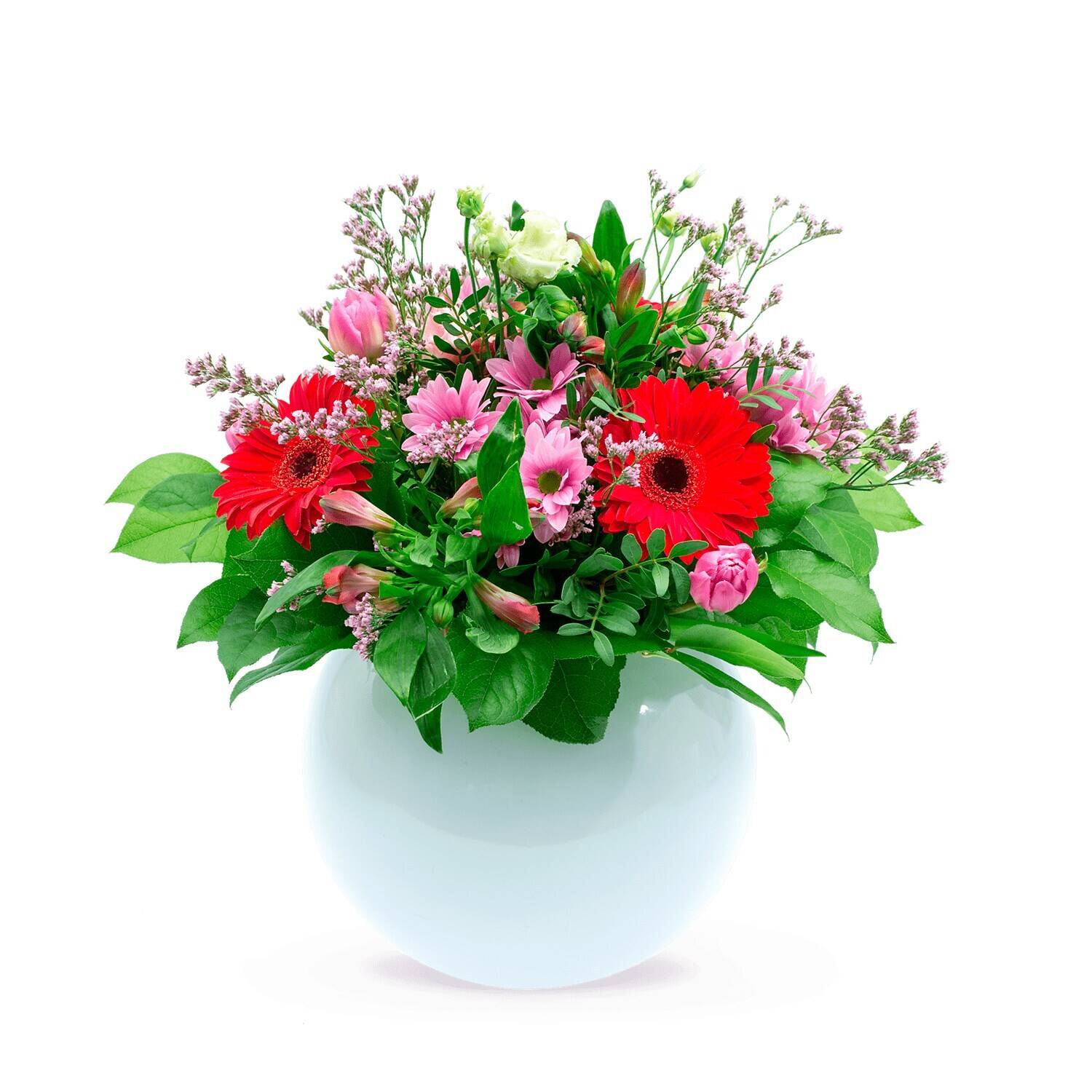 Blume, Blumen-Arrangement, Pflanze, Blumenstrauß, Blume, Blumen-Arrangement, Pflanze, Blumenstrauß, Blume, Blumen-Arrangement, Pflanze, Blumenstrauß, Blume, Blumen-Arrangement, Pflanze, Blumenstrauß, Blume, Blumen-Arrangement, Pflanze, Blumenstrauß