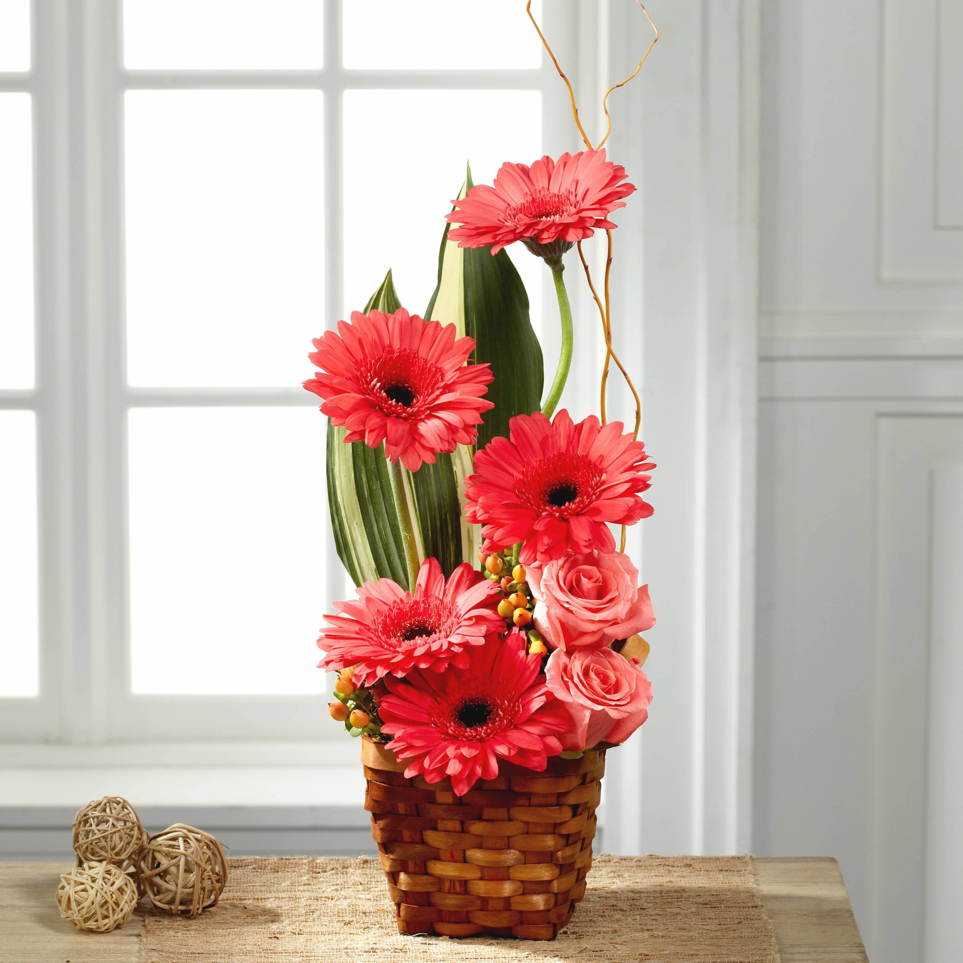 Blume, Blumen-Arrangement, Blumenstrauß, Ikebana, Gänseblümchen, Blume, Blumen-Arrangement, Blumenstrauß, Ikebana, Gänseblümchen, Blume, Blumen-Arrangement, Blumenstrauß, Ikebana, Gänseblümchen, Blumen, Blumenarrangement, rosa Blumen, Gerbera, Korb