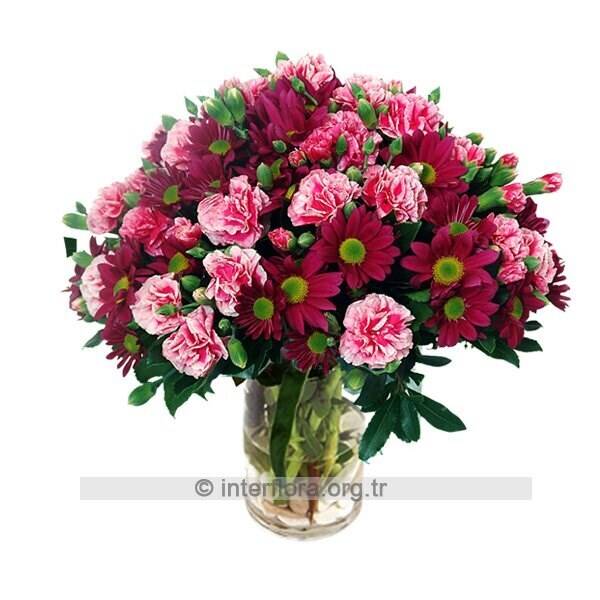 Blume, Blumen-Arrangement, Blumenstrauß, Pflanze, Blume, Blumen-Arrangement, Blumenstrauß, Pflanze, Blume, Blumen-Arrangement, Blumenstrauß, Pflanze, Blume, Blumen-Arrangement, Blumenstrauß, Pflanze, Blume, Blumen-Arrangement, Blumenstrauß, Pflanze