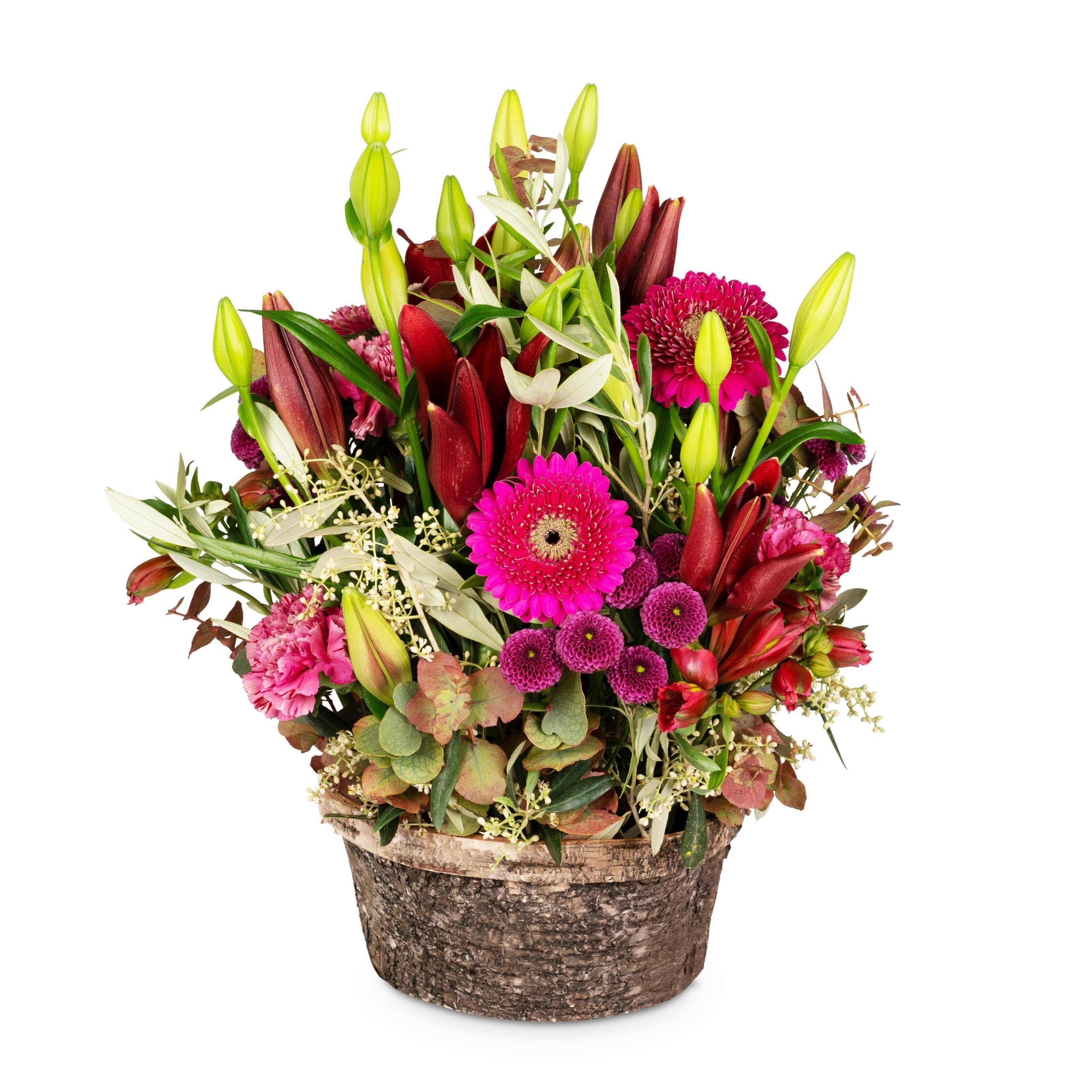 Blume, Blumen-Arrangement, Pflanze, Blumenstrauß, Florales Design, Blume, Blumen-Arrangement, Pflanze, Blumenstrauß, Florales Design, Blume, Blumen-Arrangement, Pflanze, Blumenstrauß, Florales Design, blume, blumenstrauß, behälter, pink, lilien