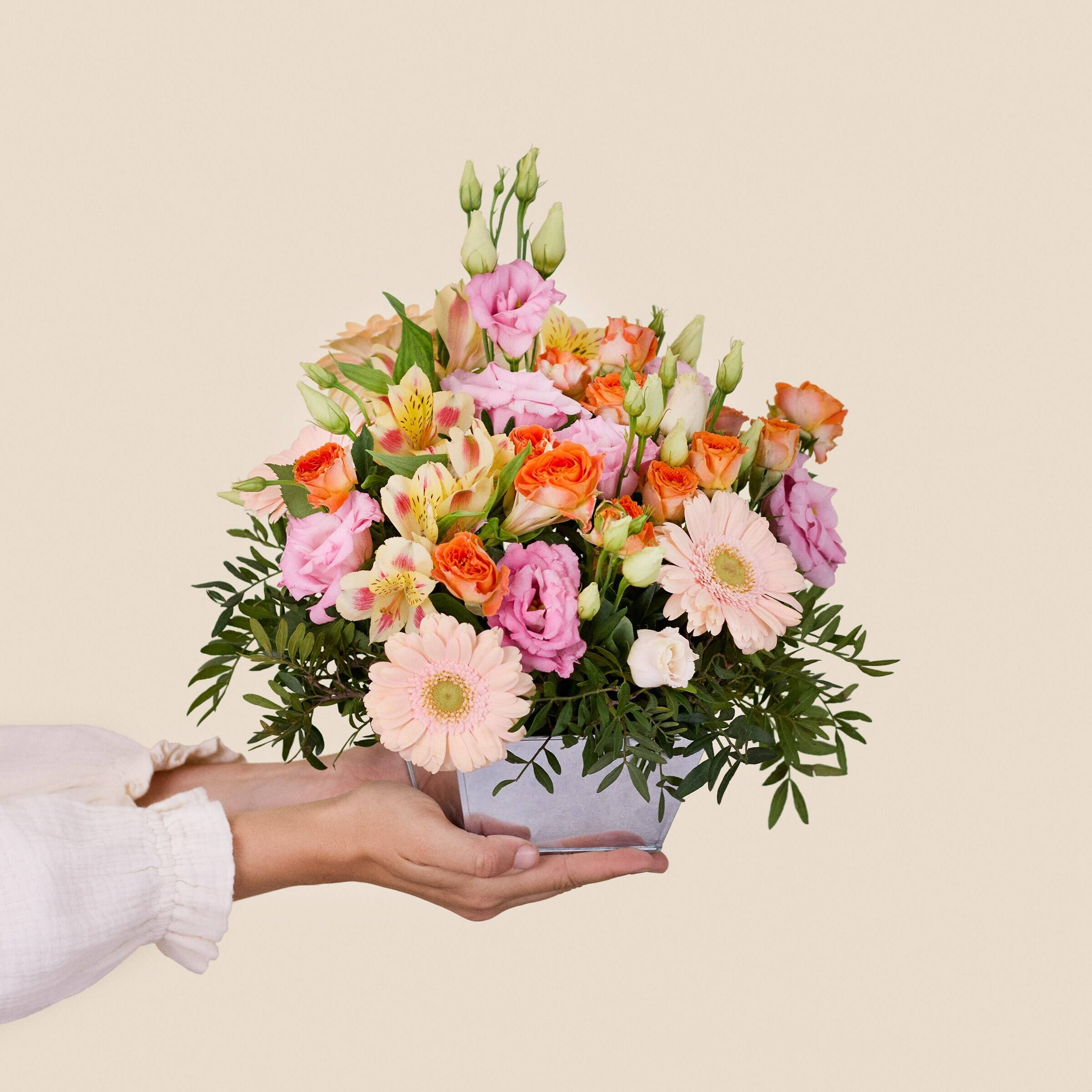 Blume, Blumen-Arrangement, Blumenstrauß, Florales Design, Muster, Blume, Blumen-Arrangement, Blumenstrauß, Florales Design, Muster, Blume, Blumen-Arrangement, Blumenstrauß, Florales Design, Muster