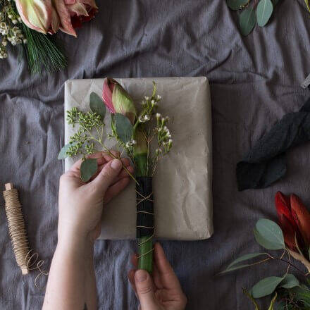 Amaryllis wird auf der Geschenkverpackung arrangiert