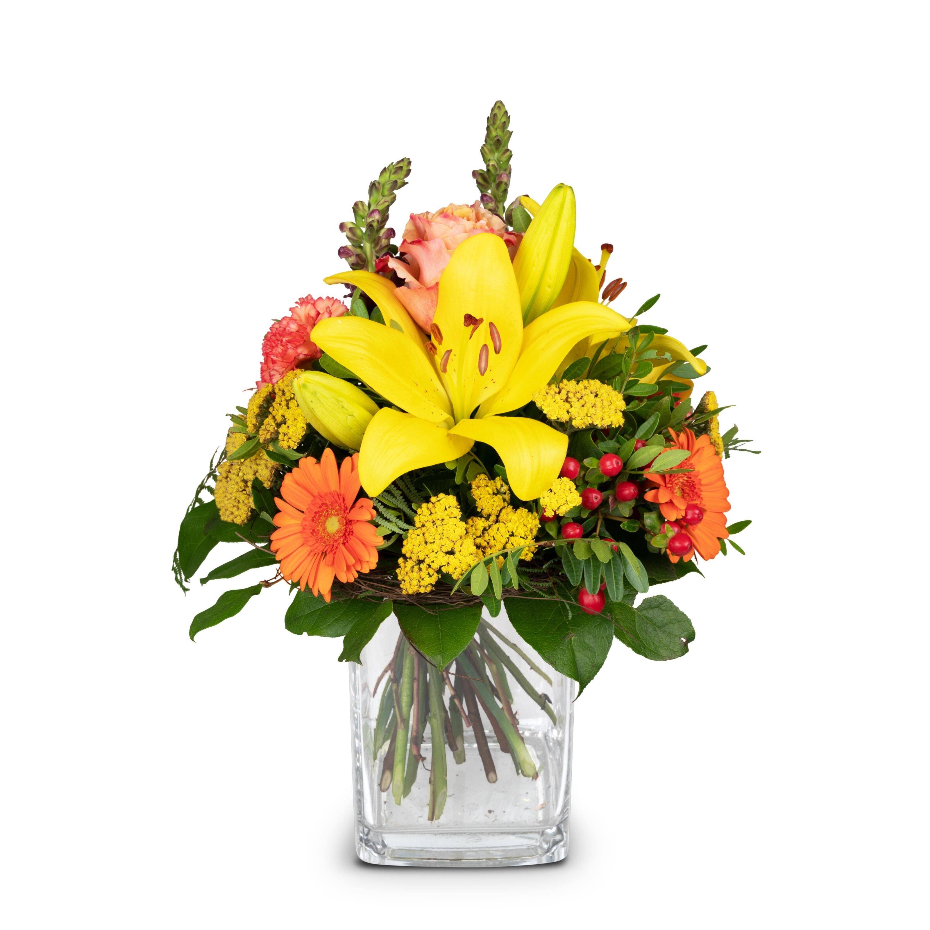 Blume, Blumen-Arrangement, Pflanze, Blumenstrauß, Florales Design, Blume, Blumen-Arrangement, Pflanze, Blumenstrauß, Florales Design, Blume, Blumen-Arrangement, Pflanze, Blumenstrauß, Florales Design