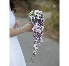 Blume, Blumen-Arrangement, Blumenstrauß, Pflanze, Blume, Blumen-Arrangement, Blumenstrauß, Pflanze, Blume, Blumen-Arrangement, Blumenstrauß, Pflanze, Blume, Blumen-Arrangement, Blumenstrauß, Pflanze, Blume, Blumen-Arrangement, Blumenstrauß, Pflanze