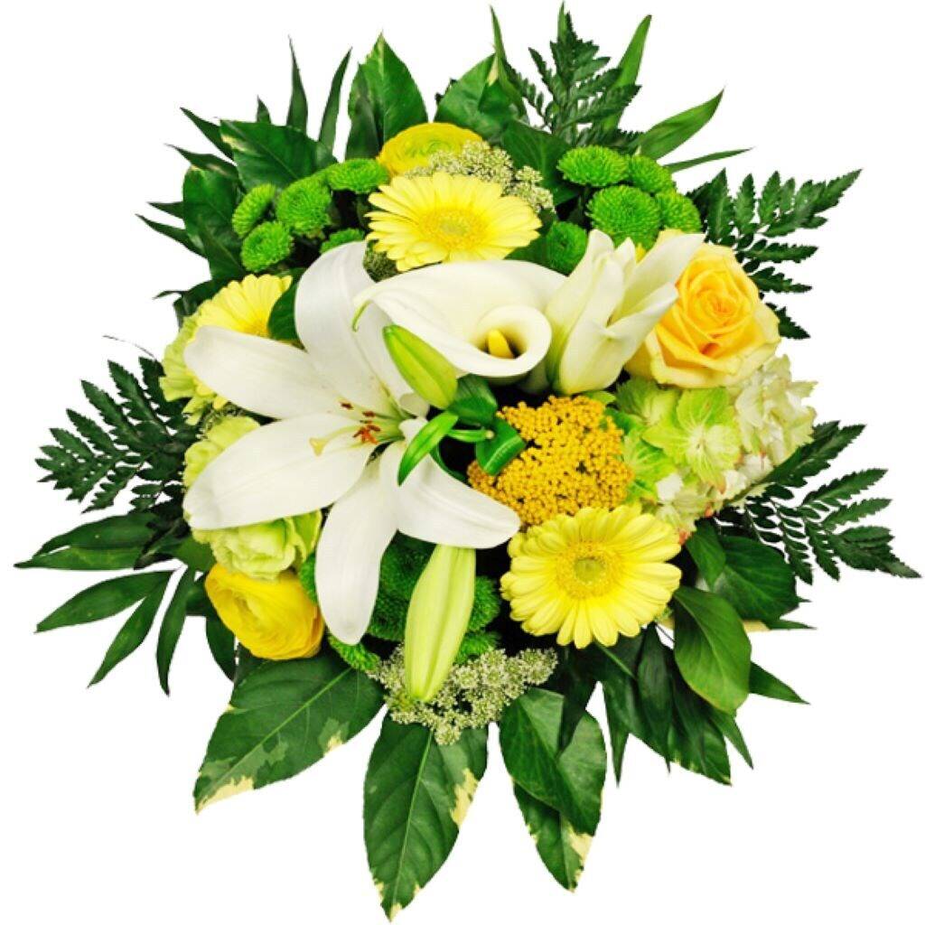 Blume, Blumen-Arrangement, Blumenstrauß, Pflanze, Florales Design, Blume, Blumen-Arrangement, Blumenstrauß, Pflanze, Florales Design, Blume, Blumen-Arrangement, Blumenstrauß, Pflanze, Florales Design, Blumenstrauß, Blumen, Gelb, Weiß, Grünes Laub