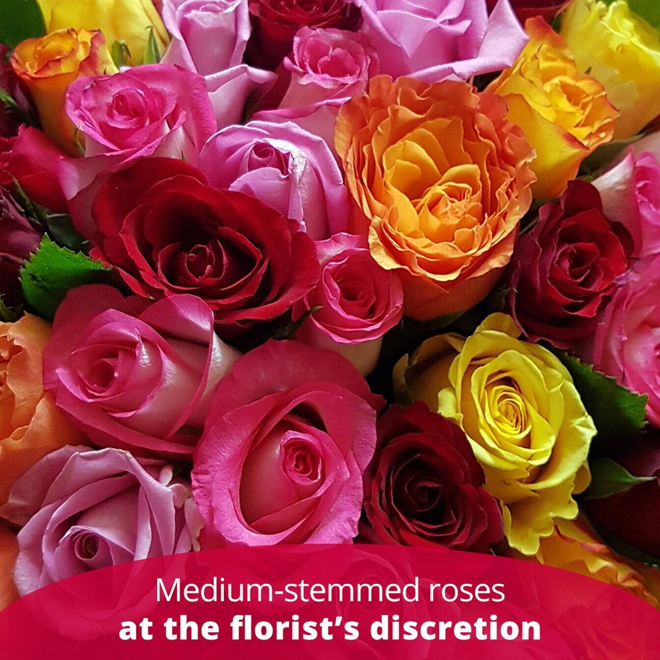 Blume, Rose, Blumen-Arrangement, Blumenstrauß, Blütenblatt, Blume, Rose, Blumen-Arrangement, Blumenstrauß, Blütenblatt, Blume, Rose, Blumen-Arrangement, Blumenstrauß, Blütenblatt, Blume, Rose, Blumen-Arrangement, Blumenstrauß, Blütenblatt