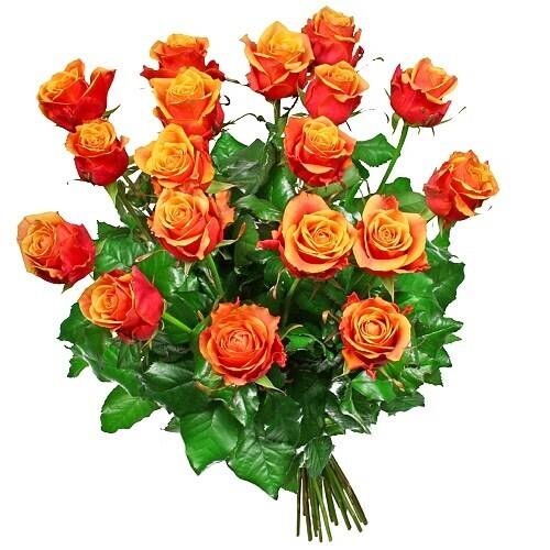 Blume, Pflanze, Rose, Blumen-Arrangement, Blumenstrauß, Blume, Pflanze, Rose, Blumen-Arrangement, Blumenstrauß, Blume, Pflanze, Rose, Blumen-Arrangement, Blumenstrauß, Blume, Pflanze, Rose, Blumen-Arrangement, Blumenstrauß