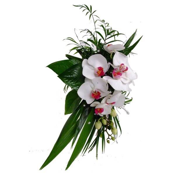 Blume, Blumen-Arrangement, Pflanze, Blumenstrauß, Blume, Blumen-Arrangement, Pflanze, Blumenstrauß, Blume, Blumen-Arrangement, Pflanze, Blumenstrauß, Blume, Blumen-Arrangement, Pflanze, Blumenstrauß, Blume, Blumen-Arrangement, Pflanze, Blumenstrauß