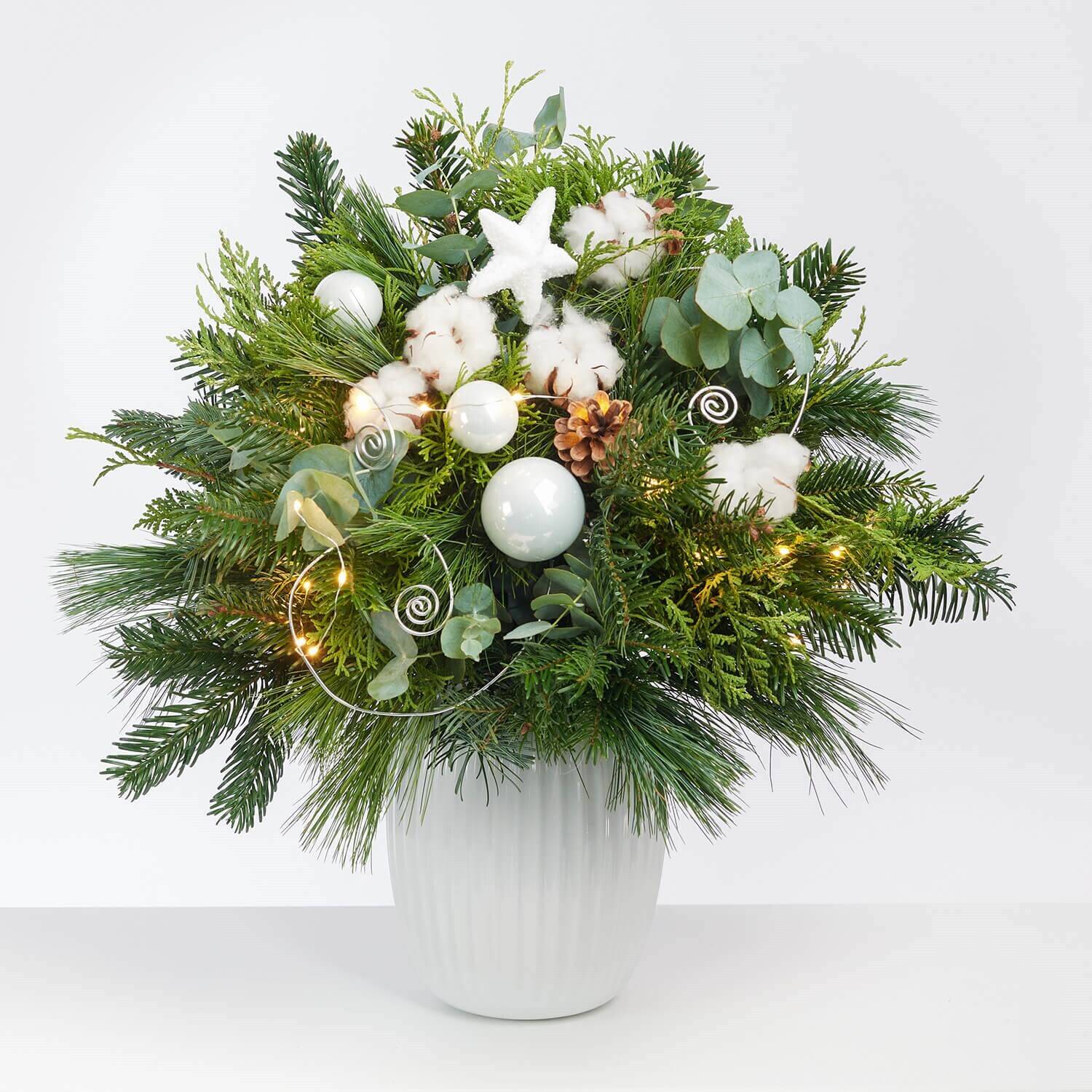 Pflanze, Blume, Blumen-Arrangement, Pflanze, Blume, Blumen-Arrangement, Pflanze, Blume, Blumen-Arrangement, Pflanze, Blume, Blumen-Arrangement, Pflanze, Blume, Blumen-Arrangement, Pflanze, Blume, Blumen-Arrangement, Pflanze, Blume, Blumen-Arrangement