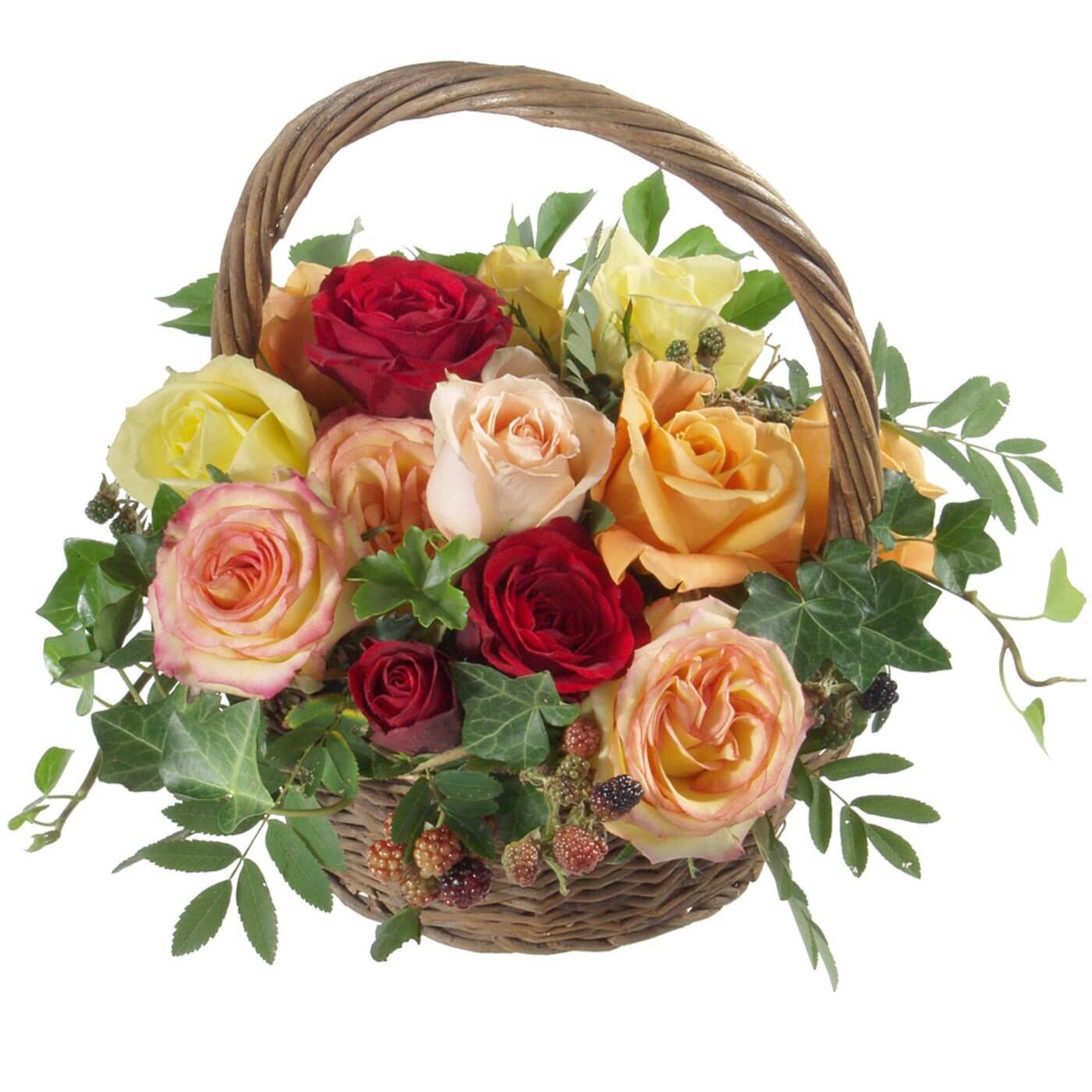 Blume, Rose, Blumen-Arrangement, Blumenstrauß, Korb, Blume, Rose, Blumen-Arrangement, Blumenstrauß, Korb, Blume, Rose, Blumen-Arrangement, Blumenstrauß, Korb, Blume, Rose, Blumen-Arrangement, Blumenstrauß, Korb