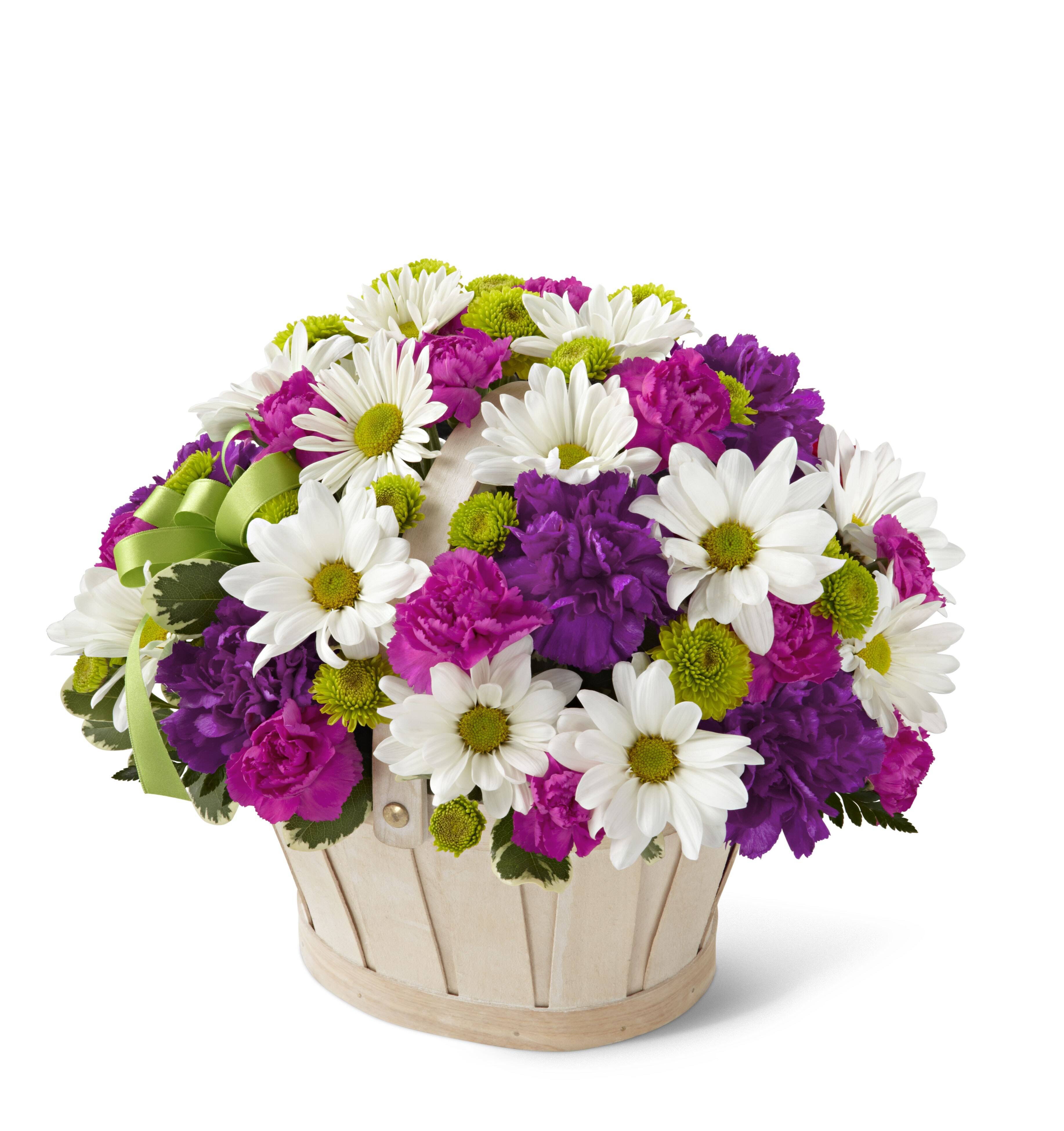 Blume, Blumen-Arrangement, Blumenstrauß, Pflanze, Gänseblümchen, Blume, Blumen-Arrangement, Blumenstrauß, Pflanze, Gänseblümchen, Blume, Blumen-Arrangement, Blumenstrauß, Pflanze, Gänseblümchen, blumenstrauß, gänseblümchen, nelke, lila blumen, korb