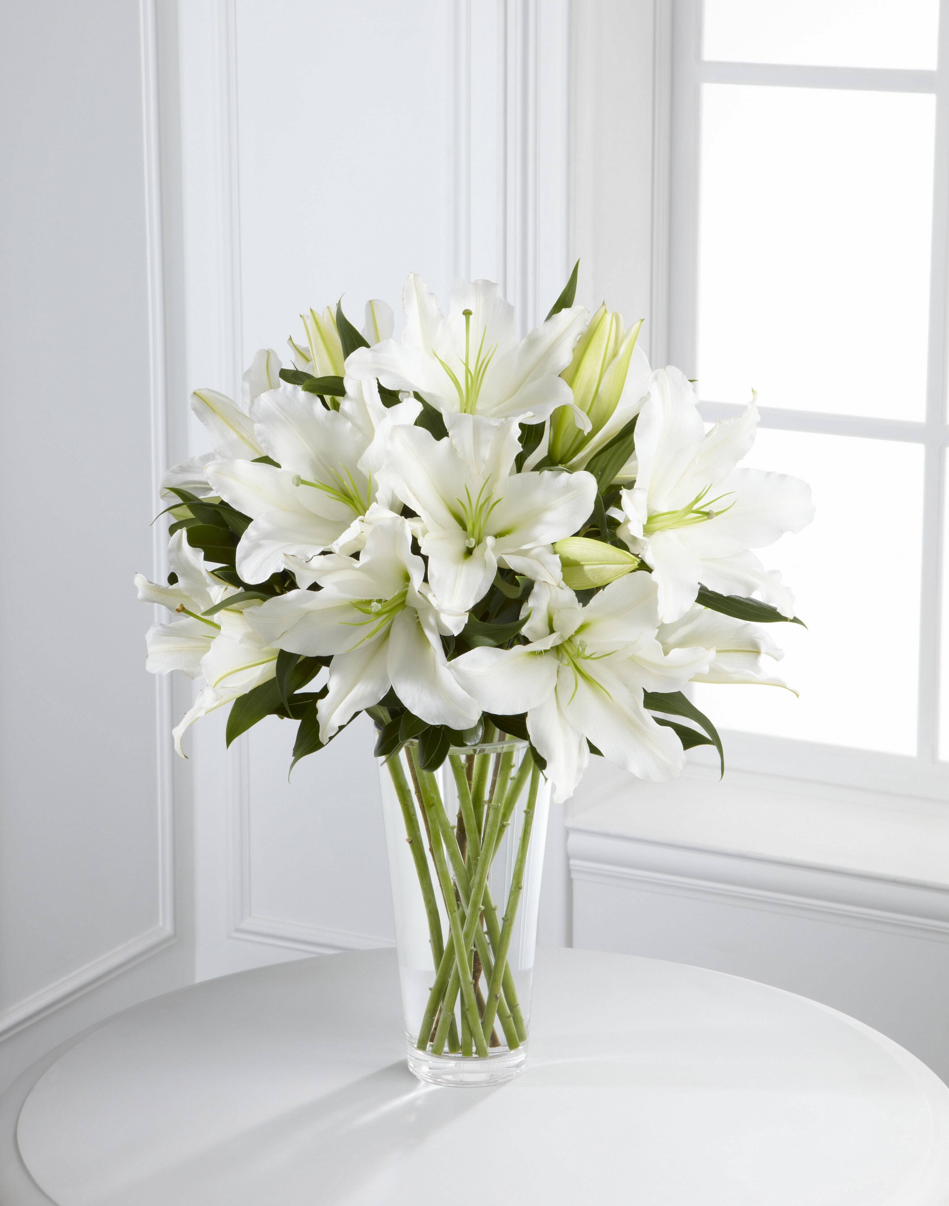 Blume, Blumen-Arrangement, Pflanze, Blumenstrauß, Blume, Blumen-Arrangement, Pflanze, Blumenstrauß, Blume, Blumen-Arrangement, Pflanze, Blumenstrauß, Blume, Blumen-Arrangement, Pflanze, Blumenstrauß, Blume, Blumen-Arrangement, Pflanze, Blumenstrauß