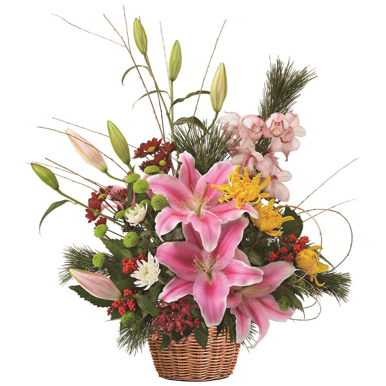 Blume, Blumen-Arrangement, Pflanze, Blumenstrauß, Ikebana, Blume, Blumen-Arrangement, Pflanze, Blumenstrauß, Ikebana, Blume, Blumen-Arrangement, Pflanze, Blumenstrauß, Ikebana, Blume, Blumen-Arrangement, Pflanze, Blumenstrauß, Ikebana
