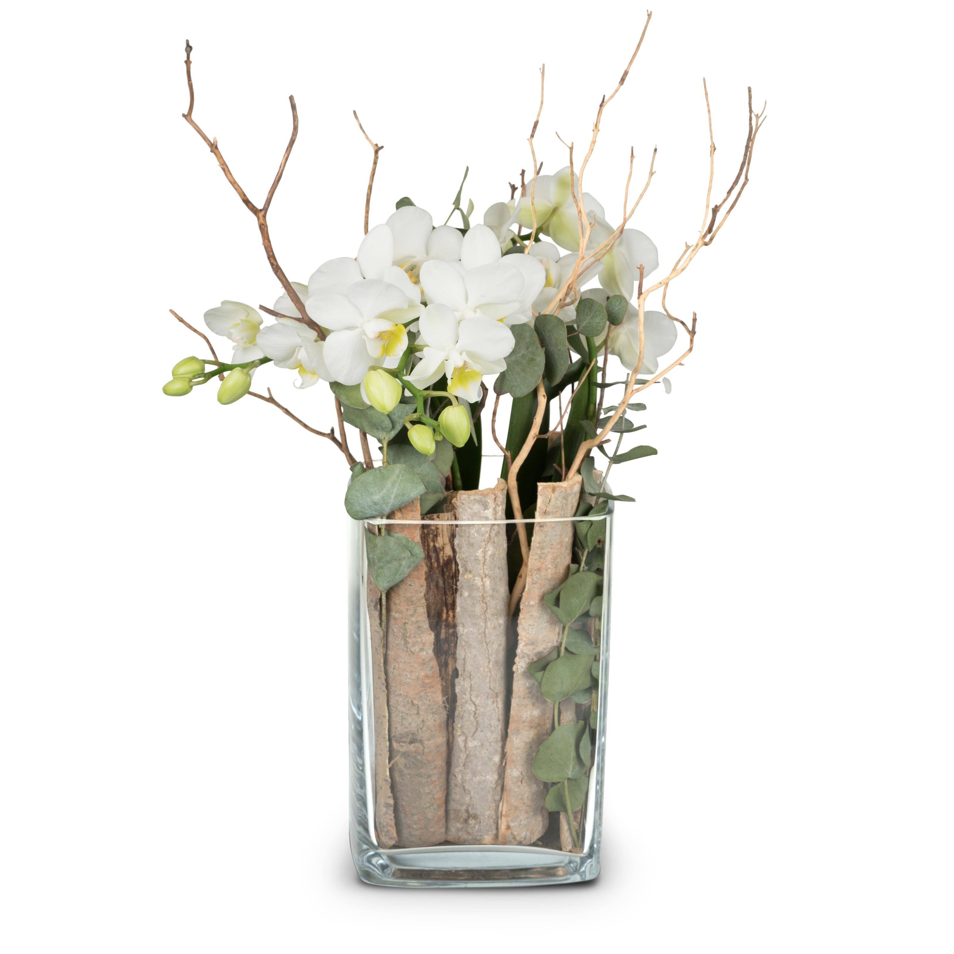 Orchidee, Weiße Orchidee, Glasvase, Botanische Anordnung, Äste, Blumenarrangement, weiße Orchideen, Perleucalyptus, Glassvase, Holzstängel, orchidee, weiße Orchidee, Blumenarrangement, Glassvase, Dekorative Zweige