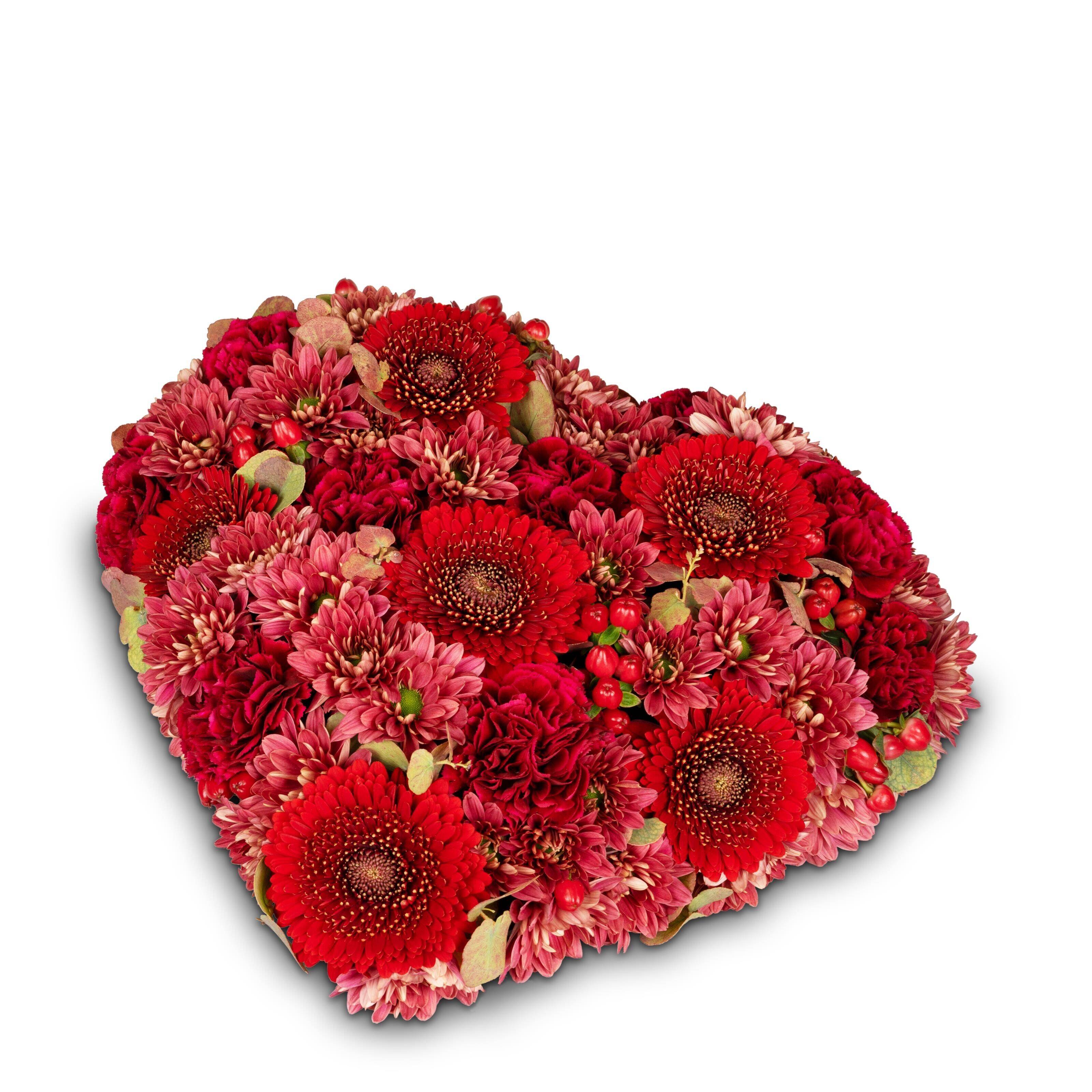 Blume, Blumen-Arrangement, Blumenstrauß, Florales Design, Blütenblatt, Blume, Blumen-Arrangement, Blumenstrauß, Florales Design, Blütenblatt, Blume, Blumen-Arrangement, Blumenstrauß, Florales Design, Blütenblatt