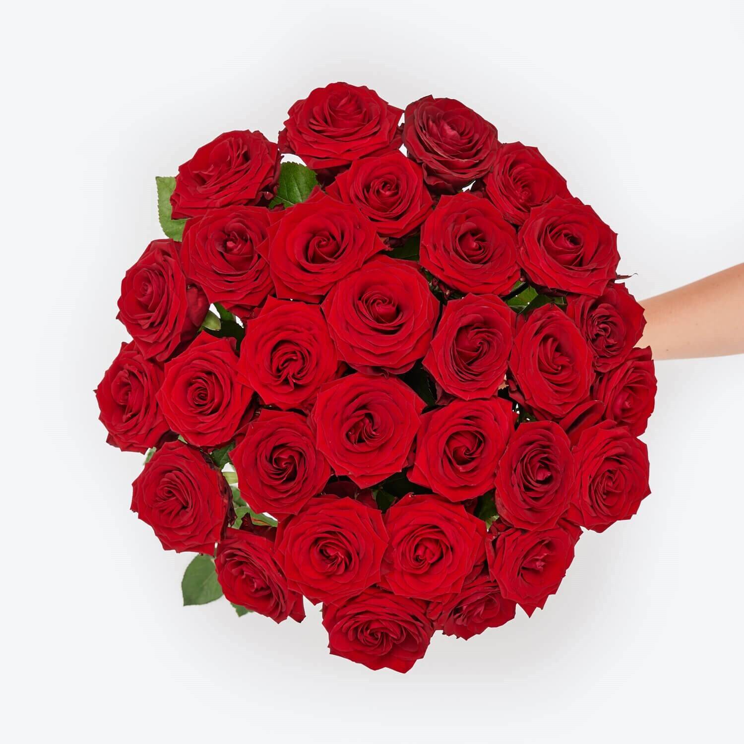 Blume, Blumen-Arrangement, Blumenstrauß, Pflanze, Rose, Blume, Blumen-Arrangement, Blumenstrauß, Pflanze, Rose, Blume, Blumen-Arrangement, Blumenstrauß, Pflanze, Rose, Blume, Blumen-Arrangement, Blumenstrauß, Pflanze, Rose