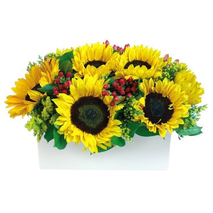 Blume, Blumen-Arrangement, Pflanze, Blumenstrauß, Sonnenblume, Blume, Blumen-Arrangement, Pflanze, Blumenstrauß, Sonnenblume, Blume, Blumen-Arrangement, Pflanze, Blumenstrauß, Sonnenblume, Blume, Blumen-Arrangement, Pflanze, Blumenstrauß, Sonnenblume